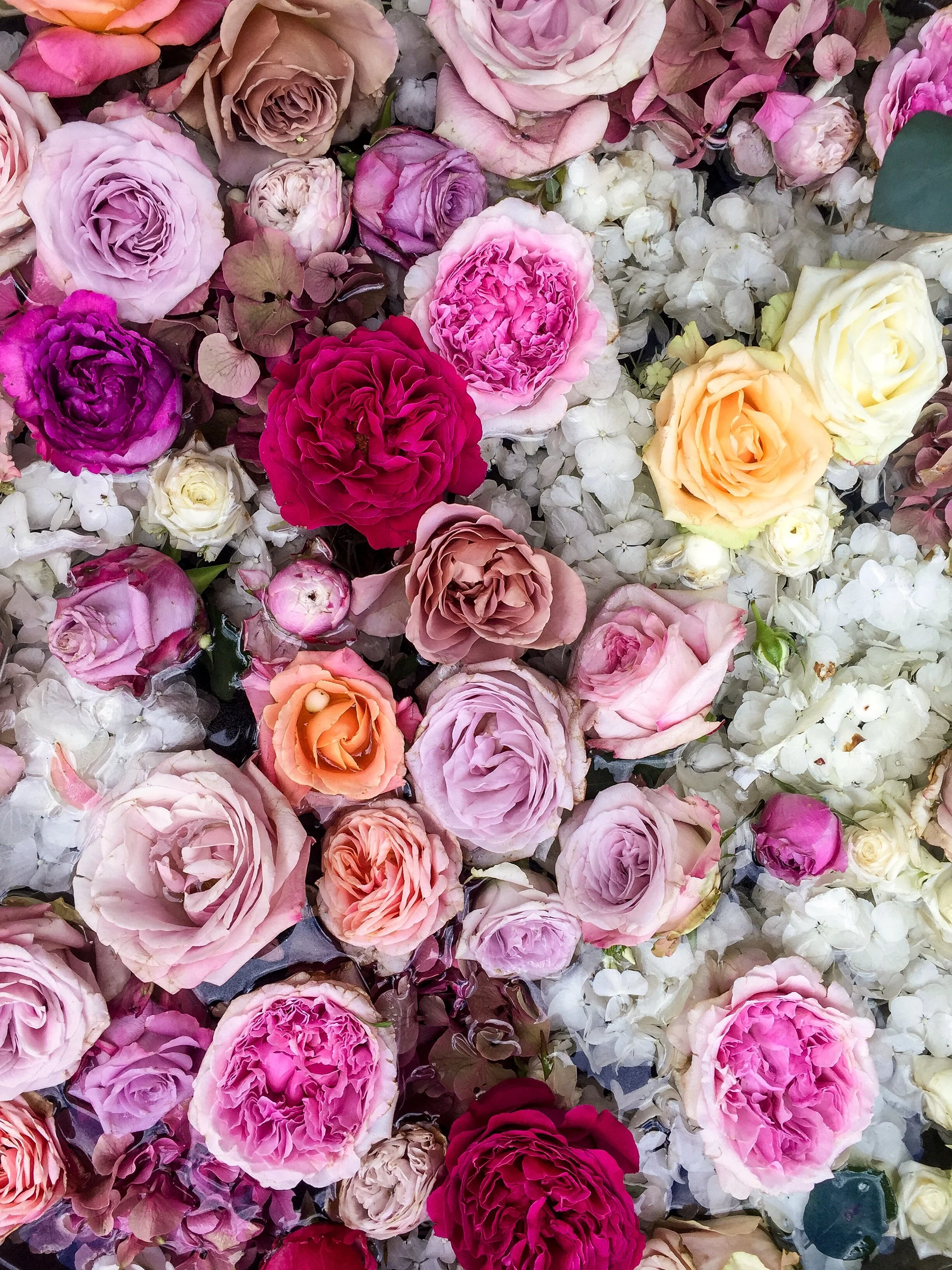 Wild Things Flowers