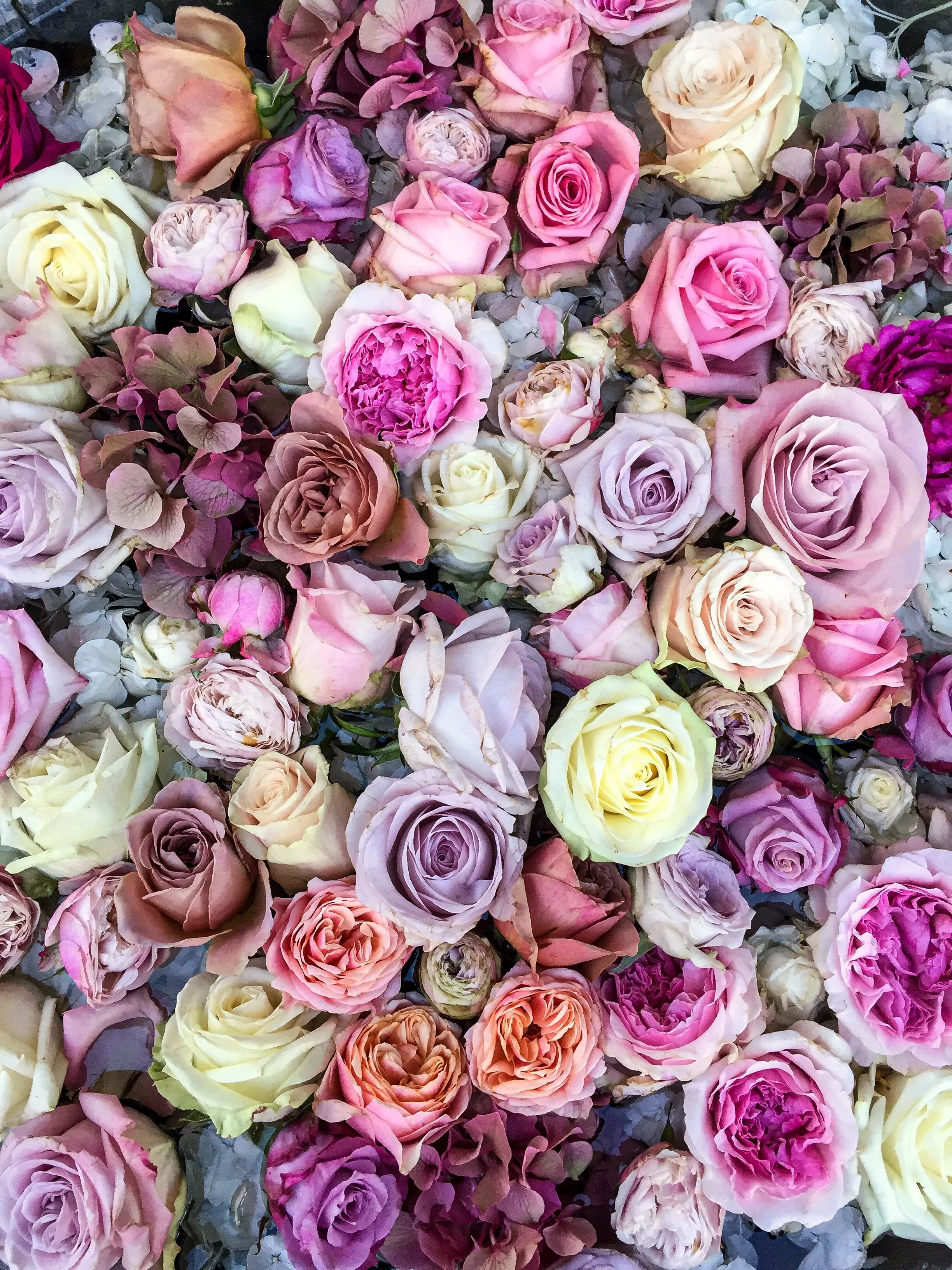 Wild Things Flowers