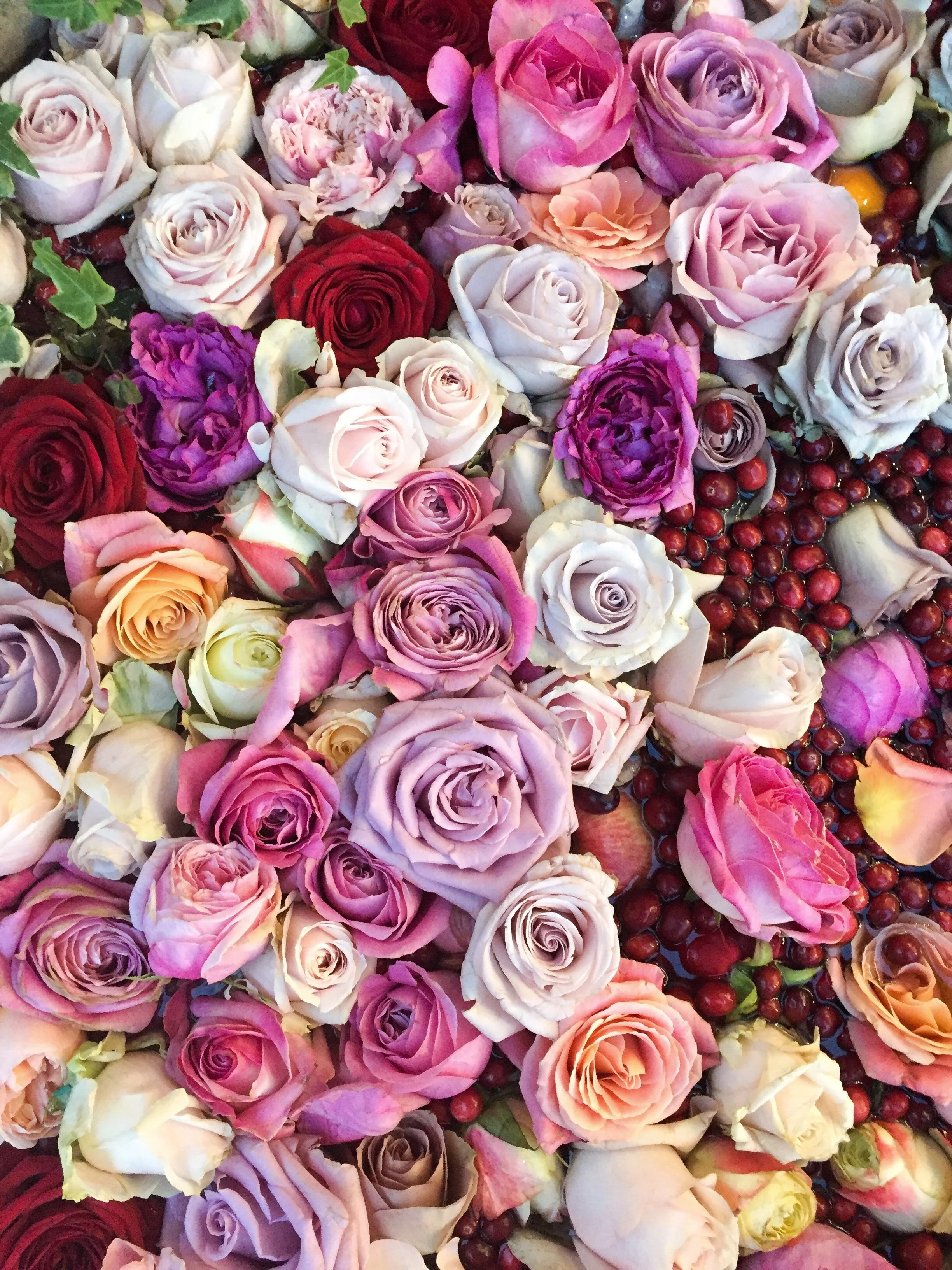 Wild Things Flowers