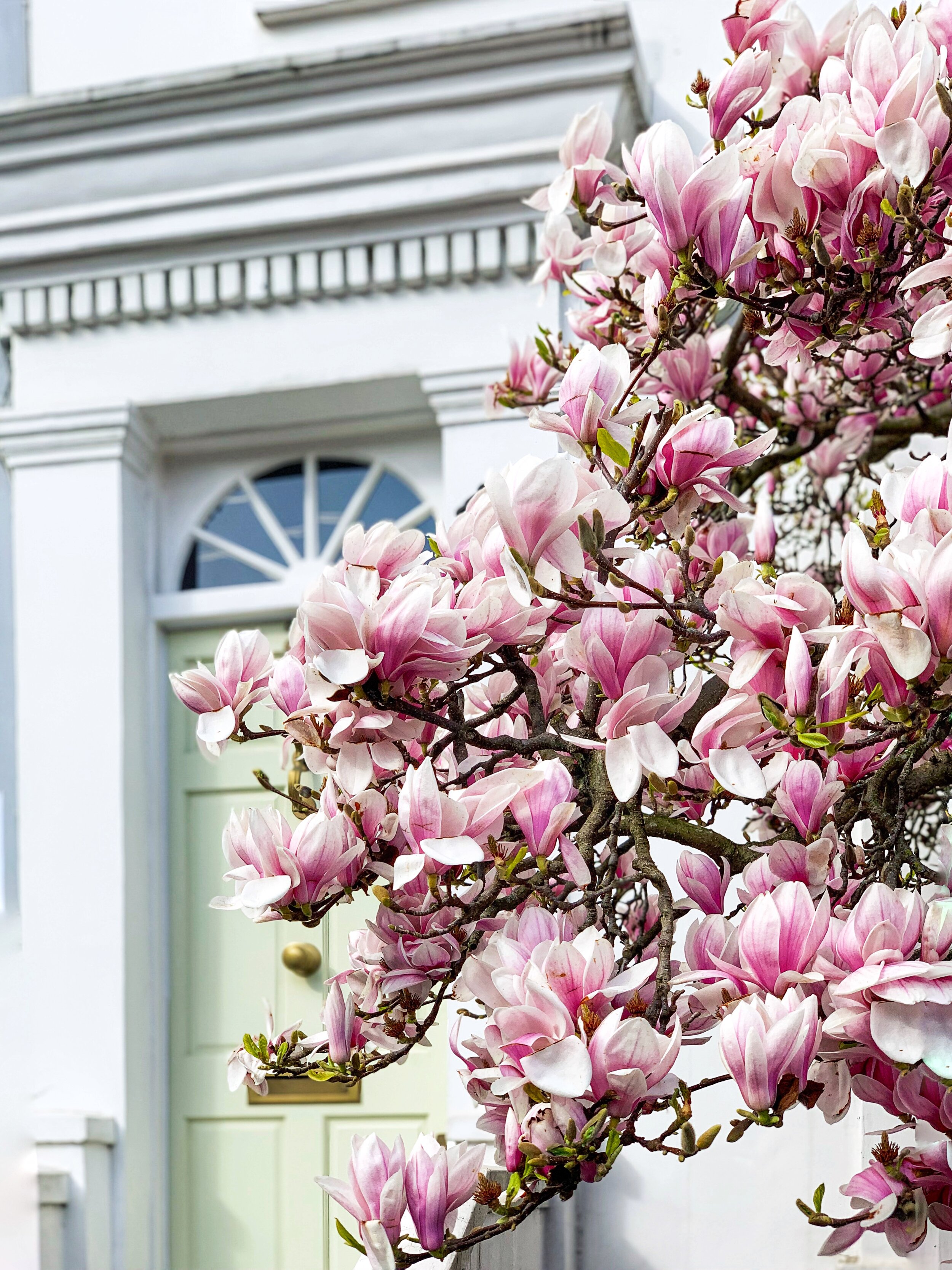 London in Bloom I