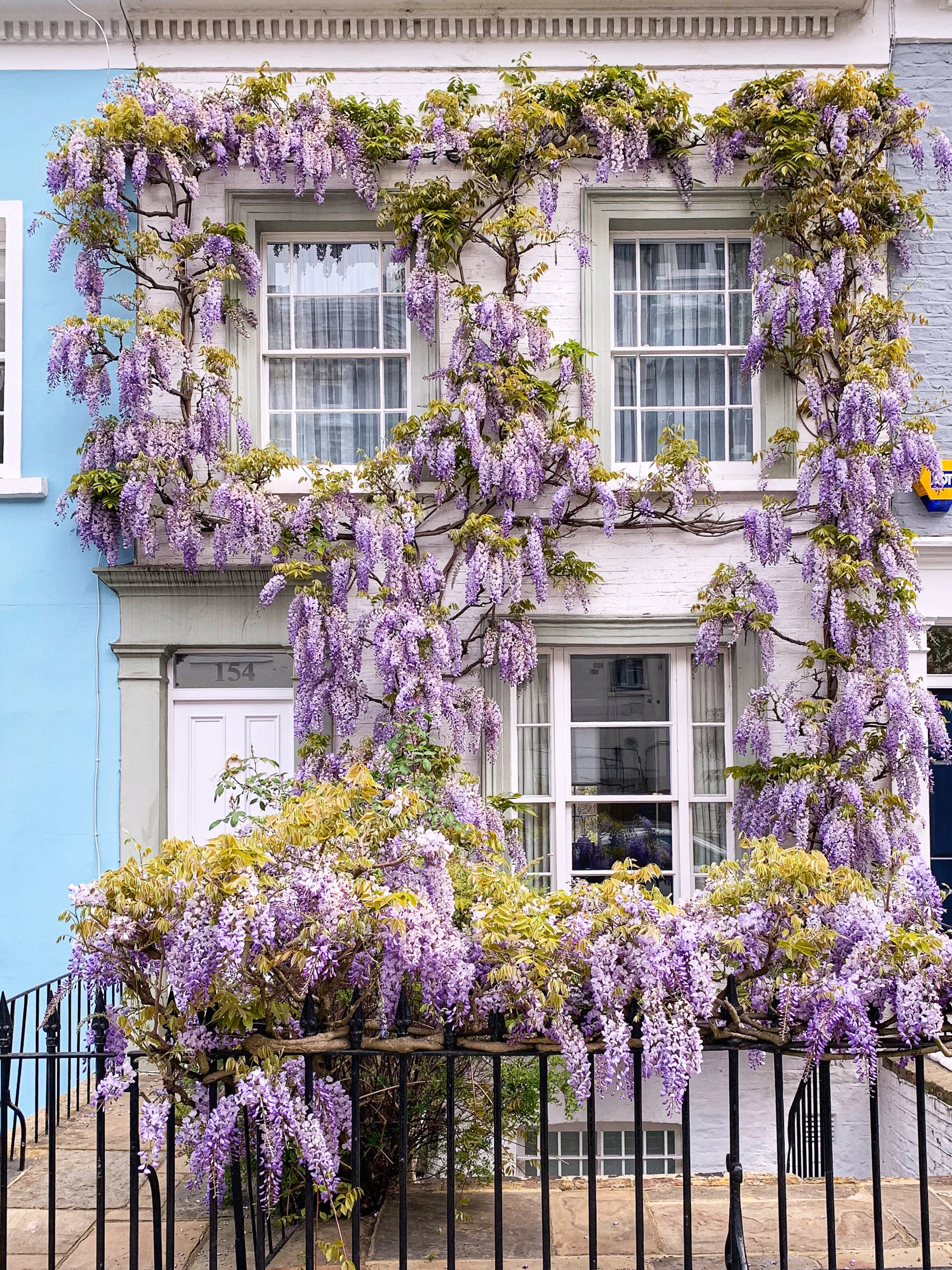 London in Bloom I