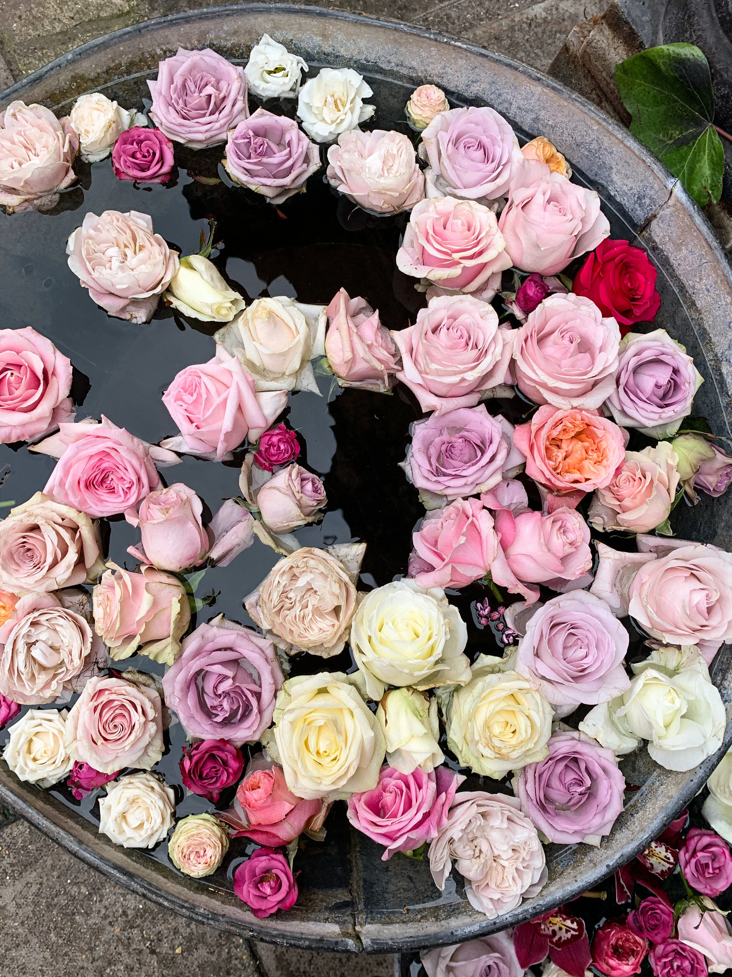 Wild Things Flowers