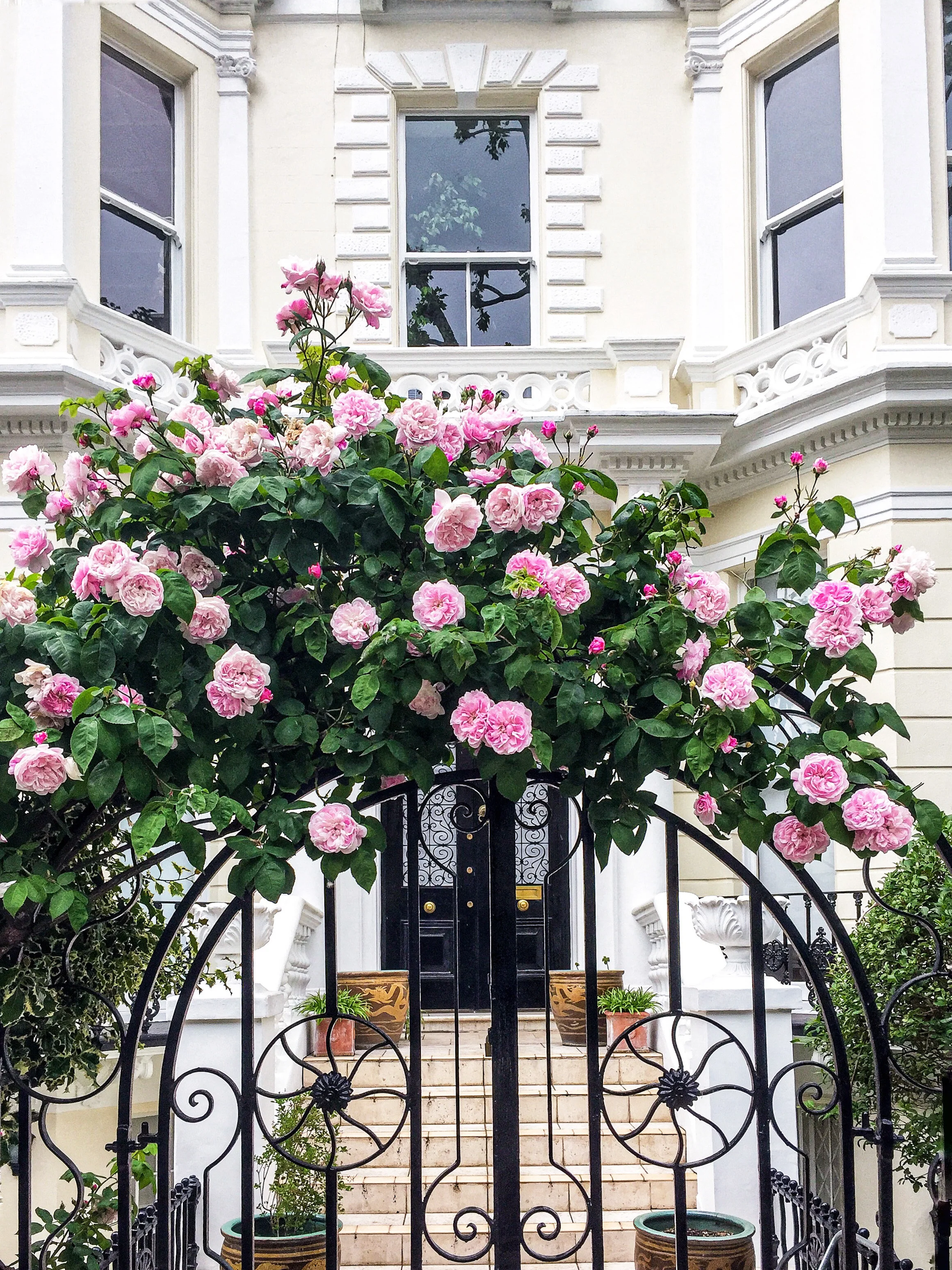 London in Bloom I