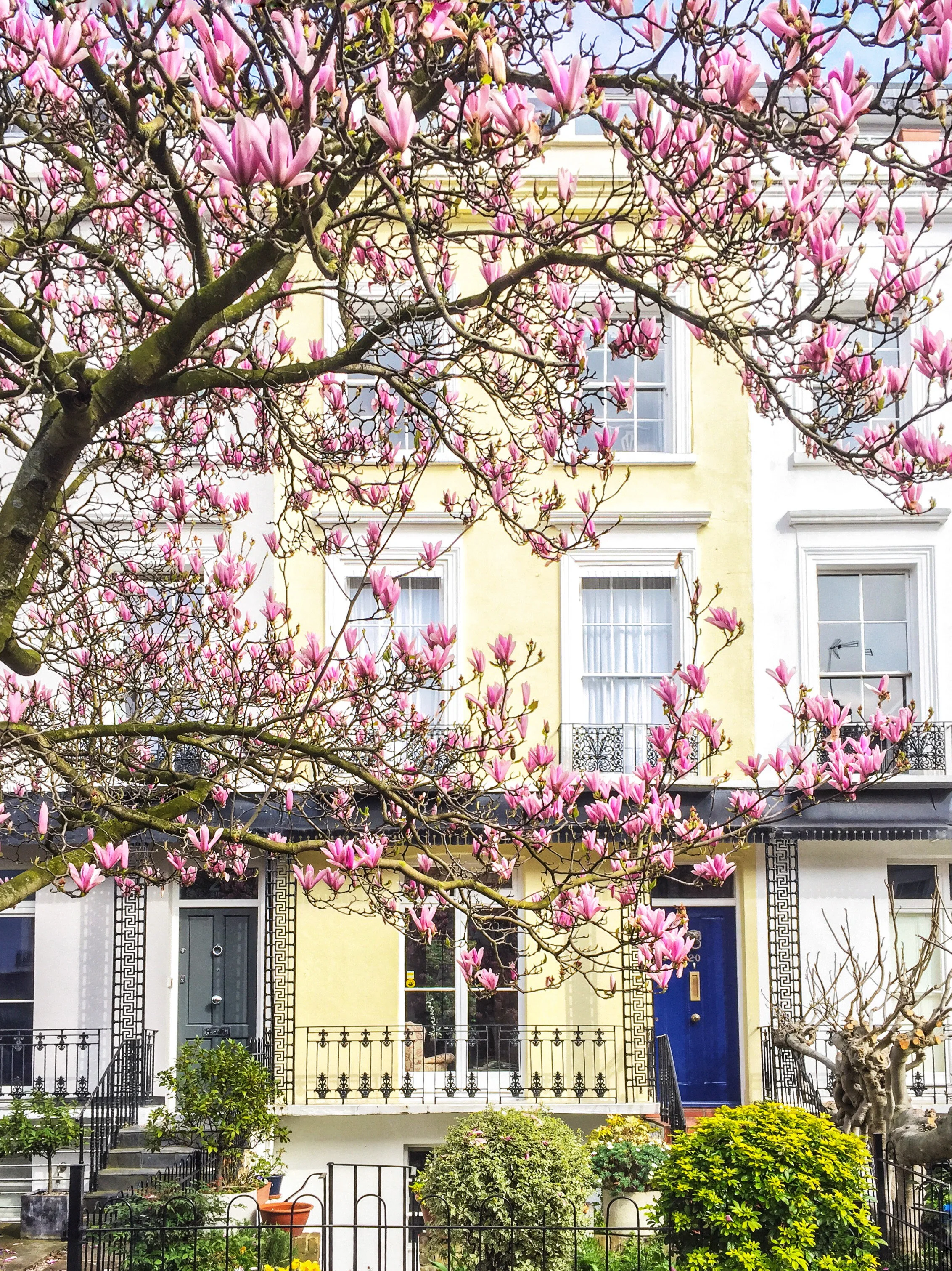 Gulshan London Colours