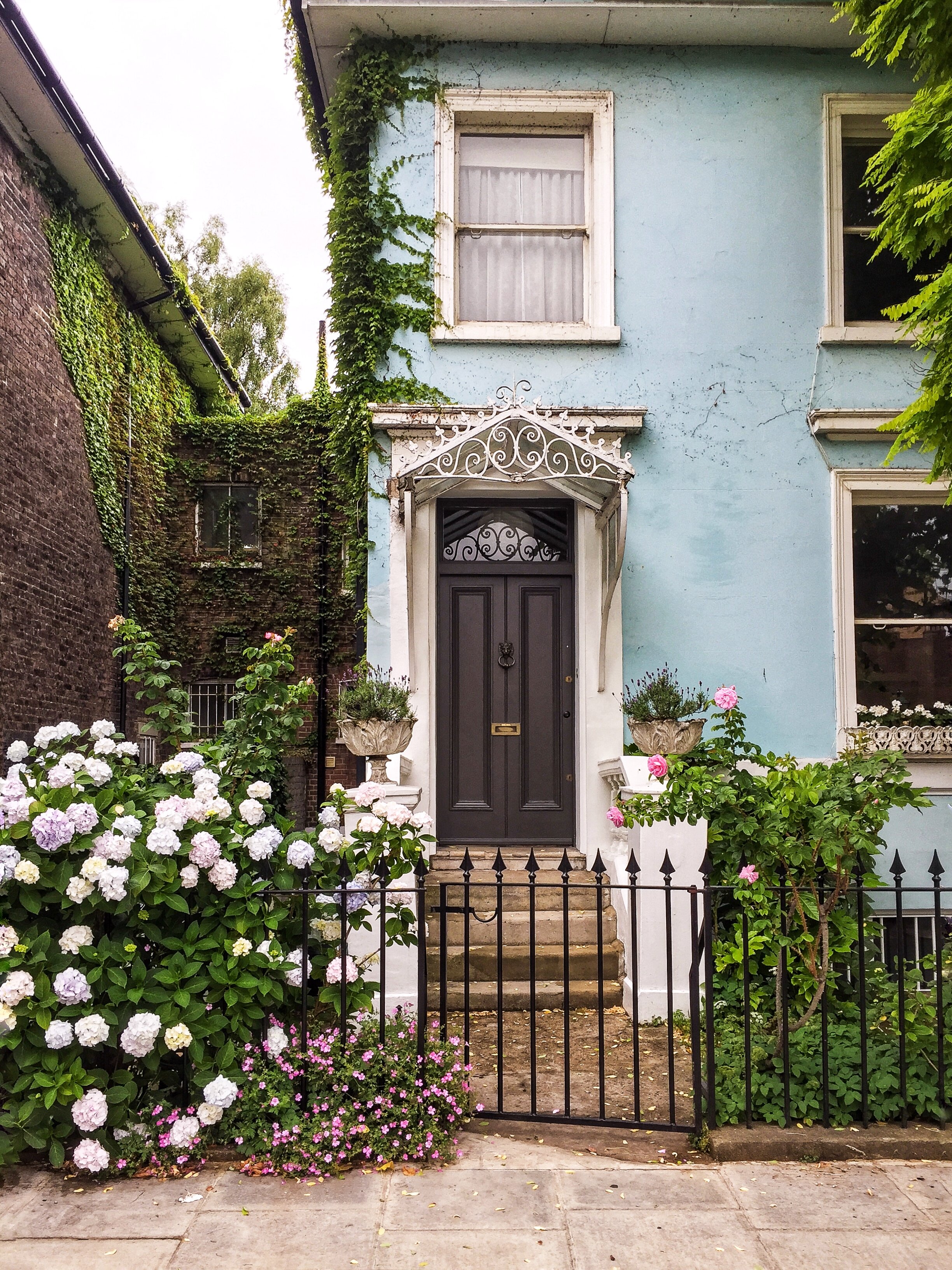 Gulshan London Colours