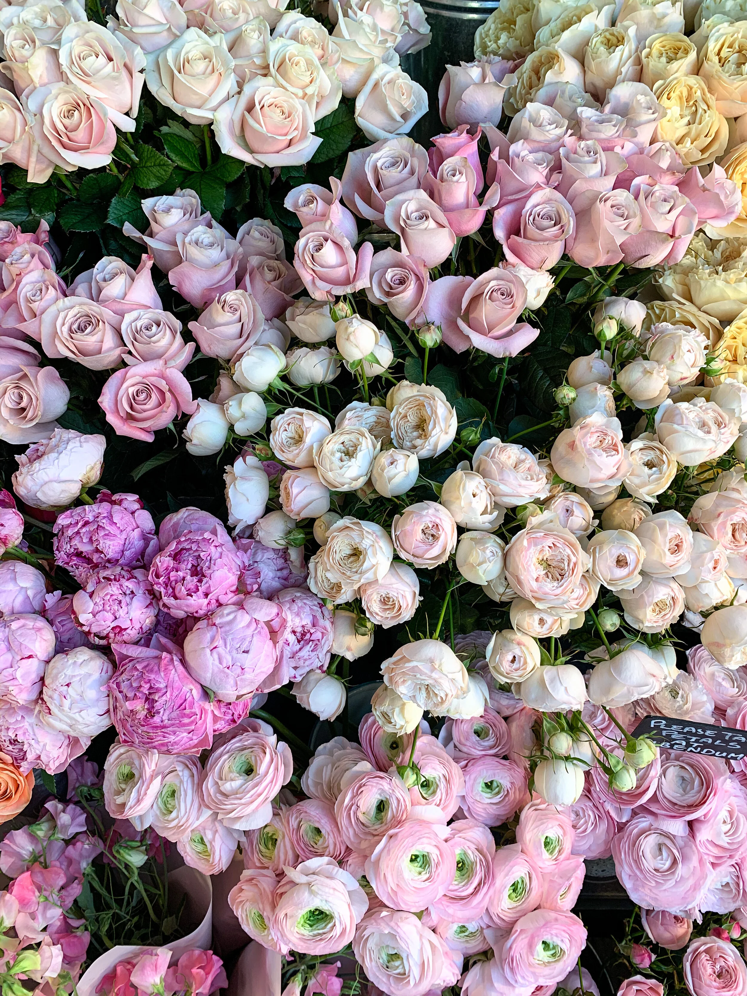 Gulshan London Petals at Bibendum