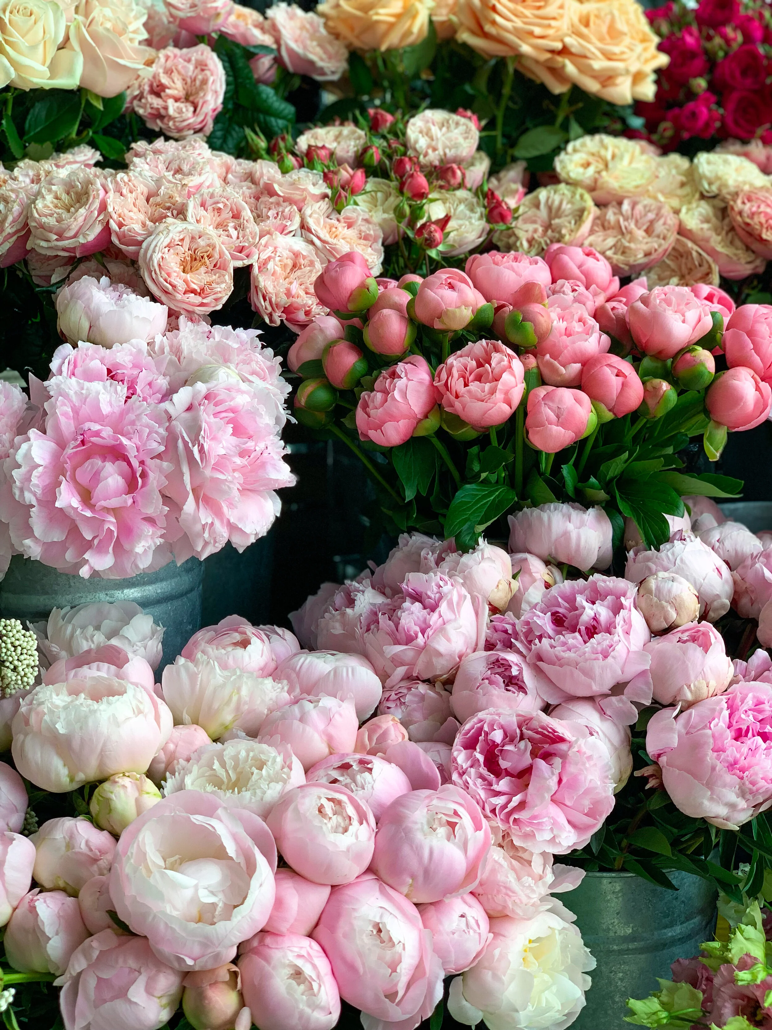 Gulshan London Petals at Bibendum