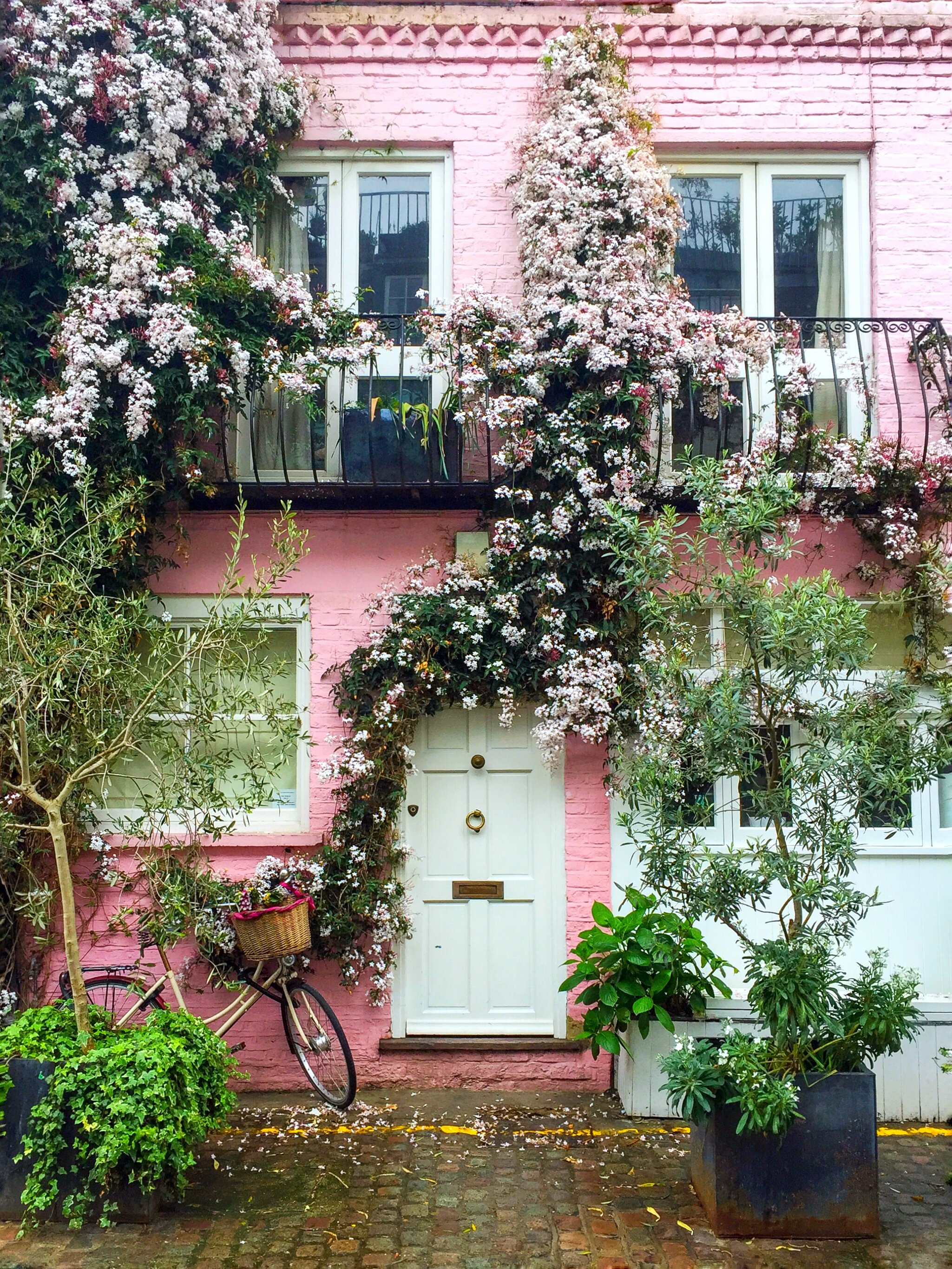 Gulshan London Colours