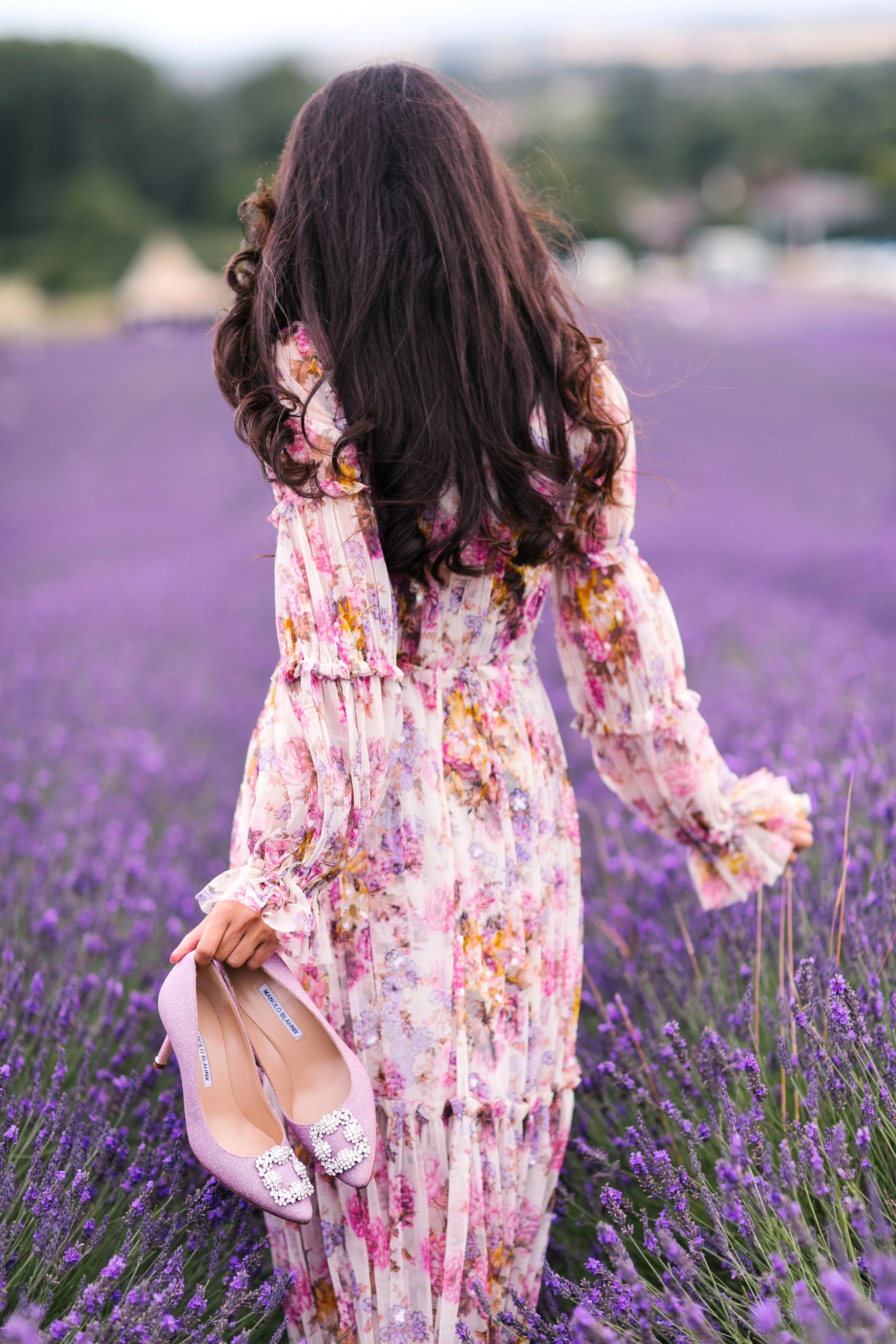 Heavenly Lavender