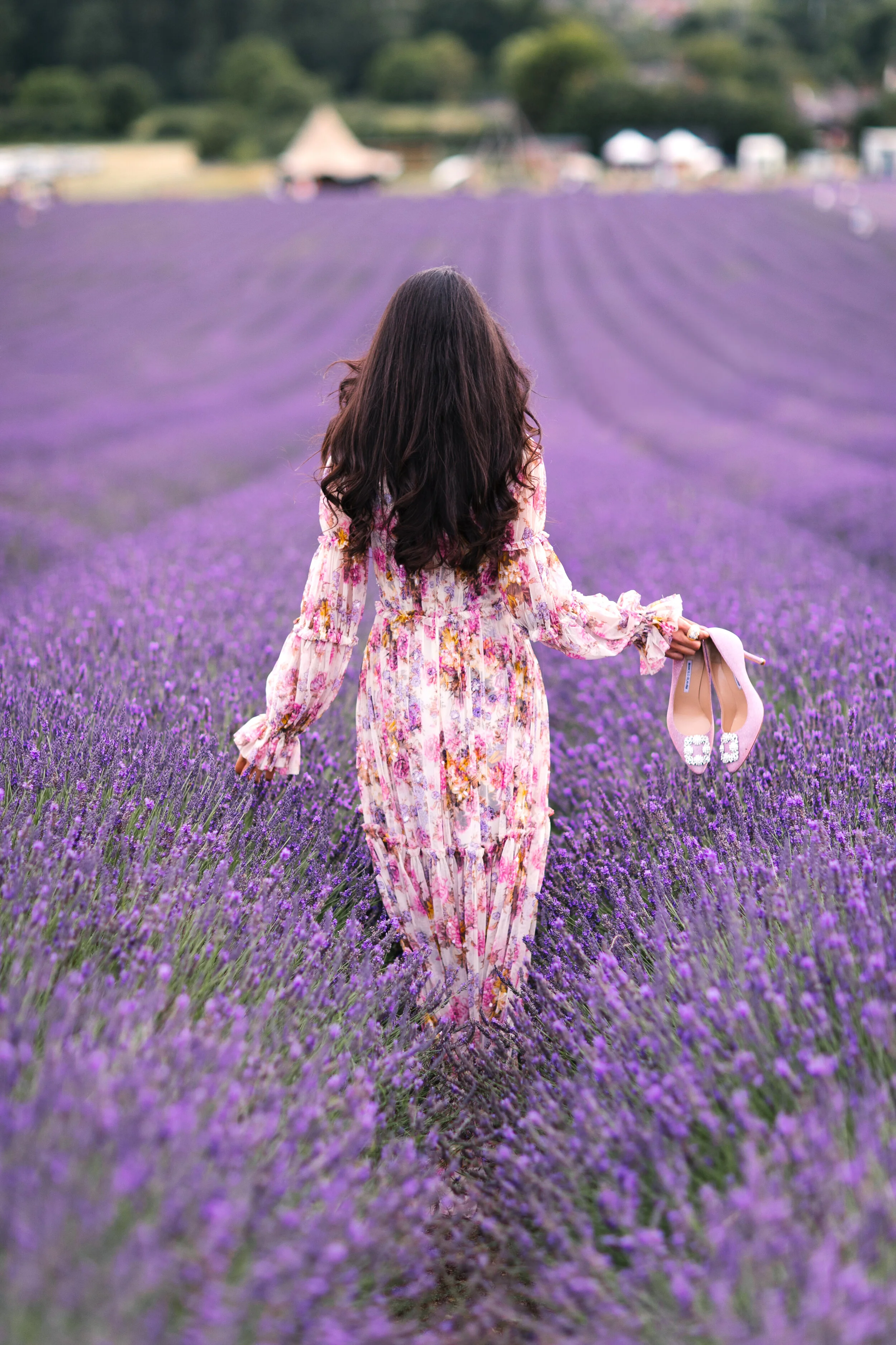 Heavenly Lavender