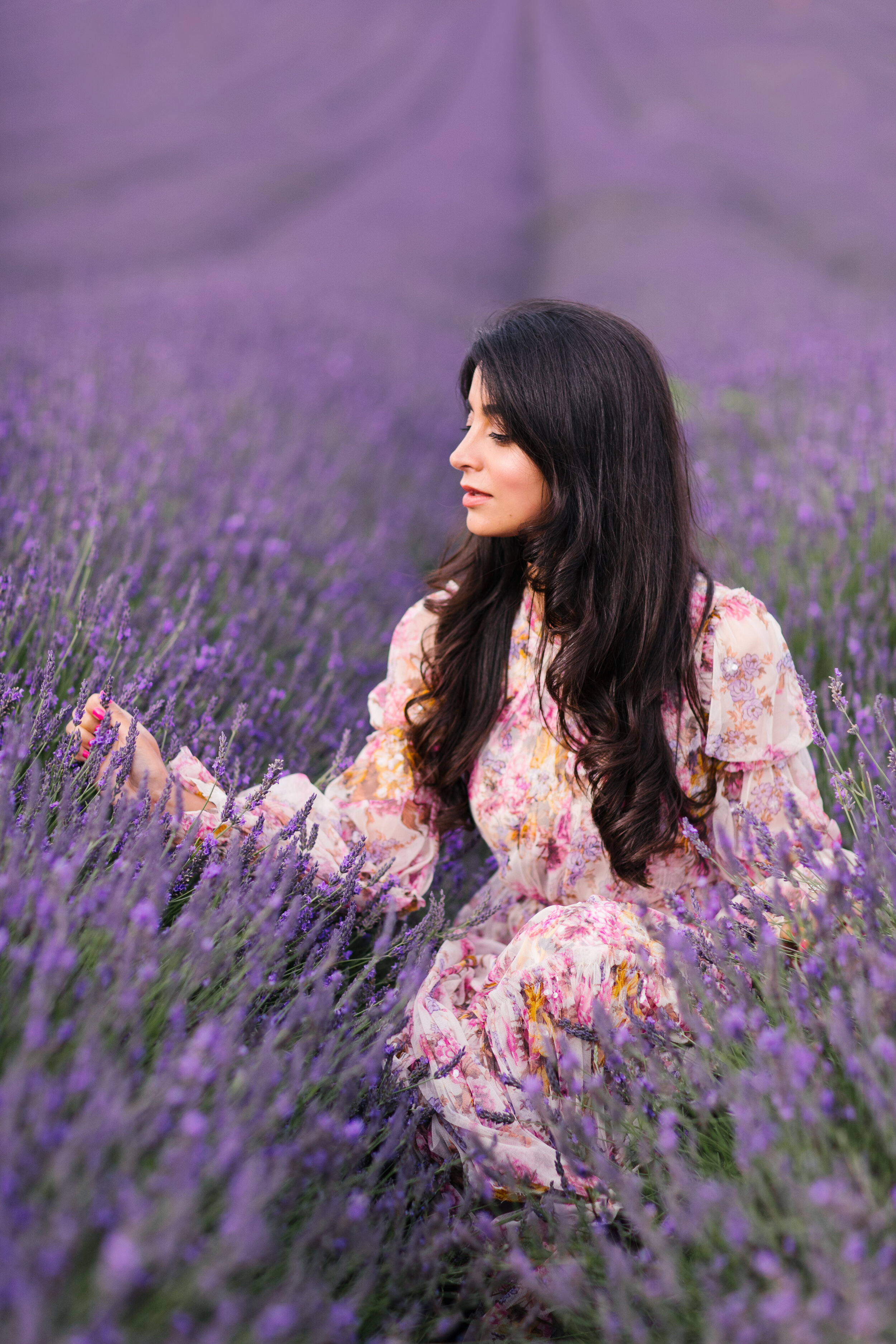 Gulshan London Lavender Fields