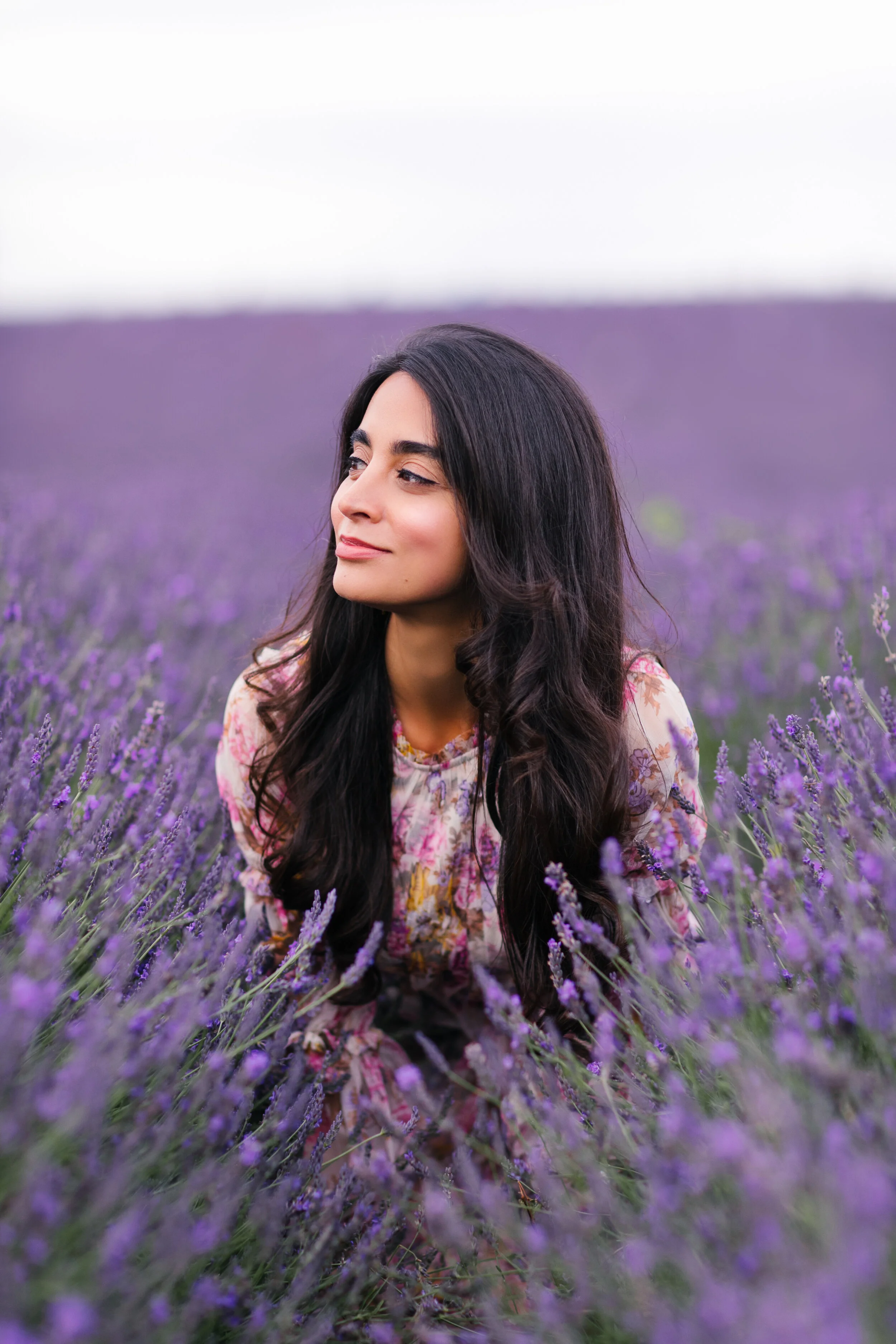 Gulshan London Lavender Fields
