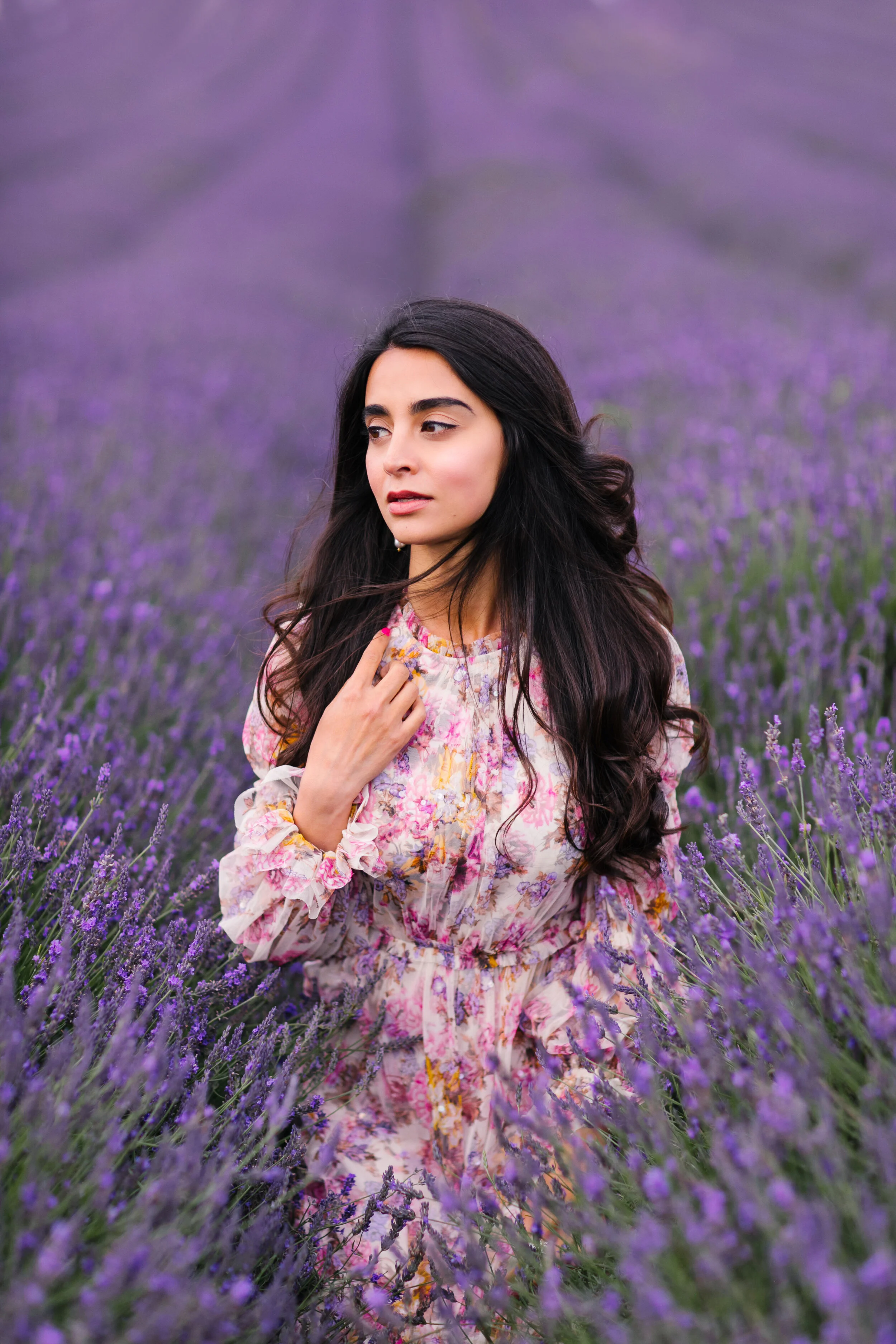 Gulshan London Lavender Fields