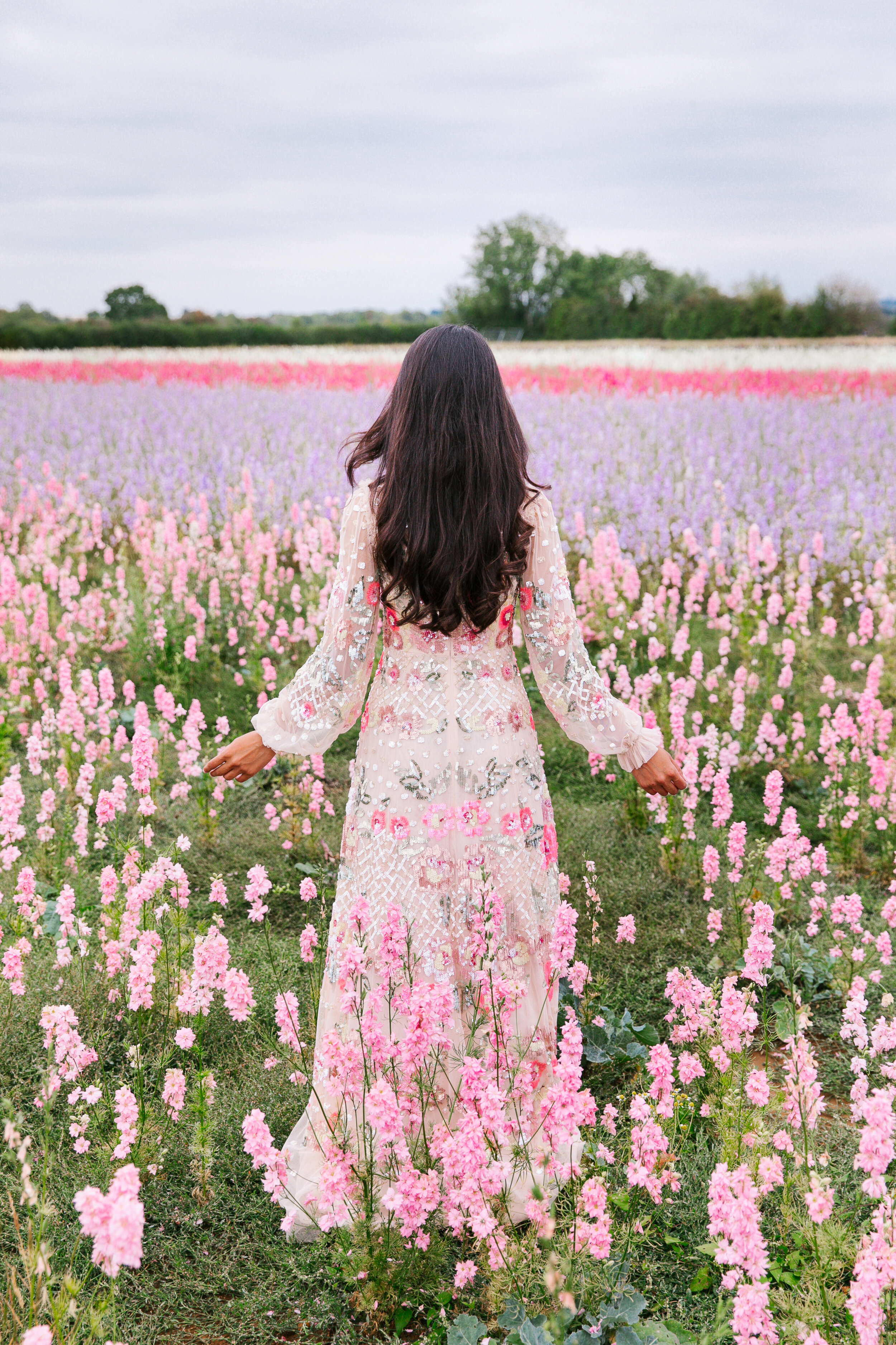 Pink Confetti