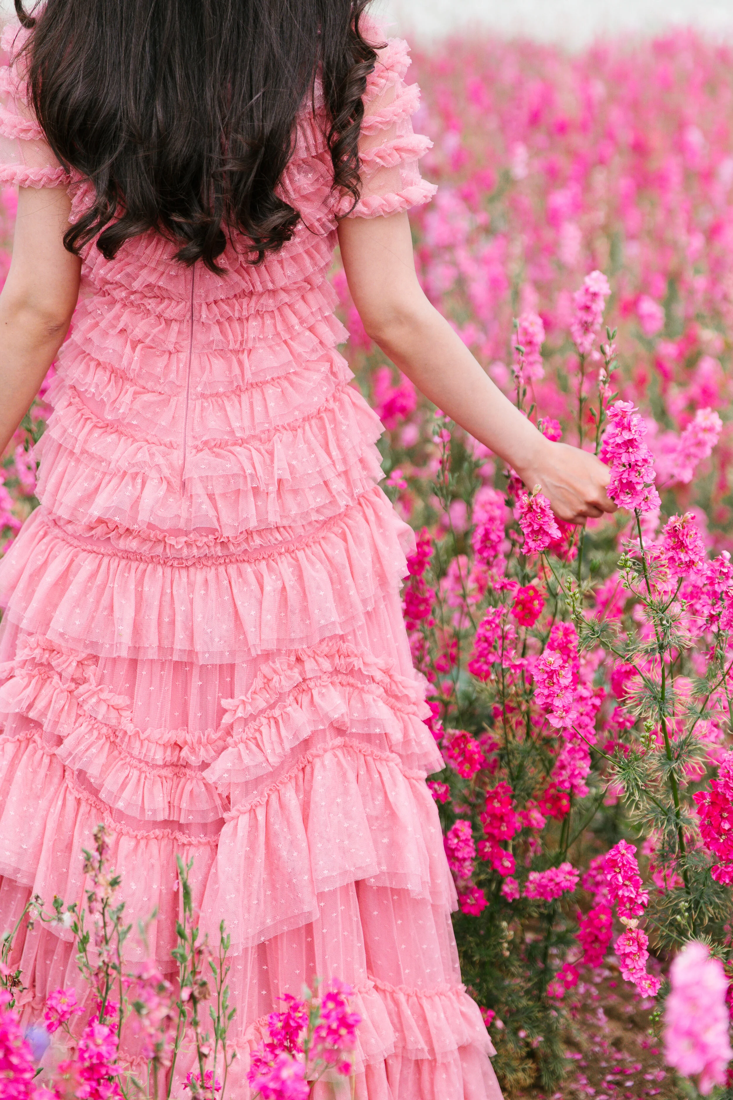 Tulle & Confetti
