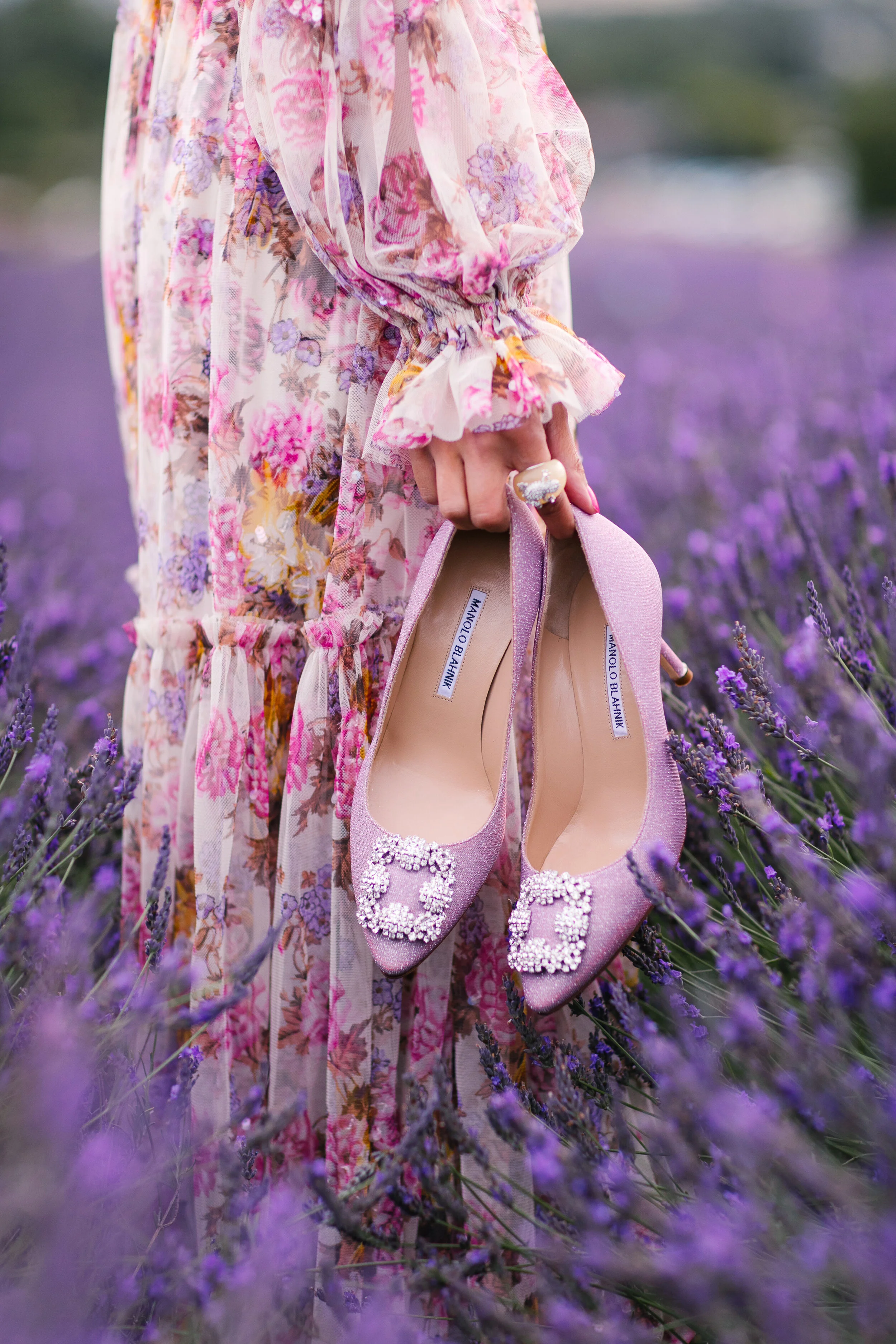 Gulshan London Lavender Fields