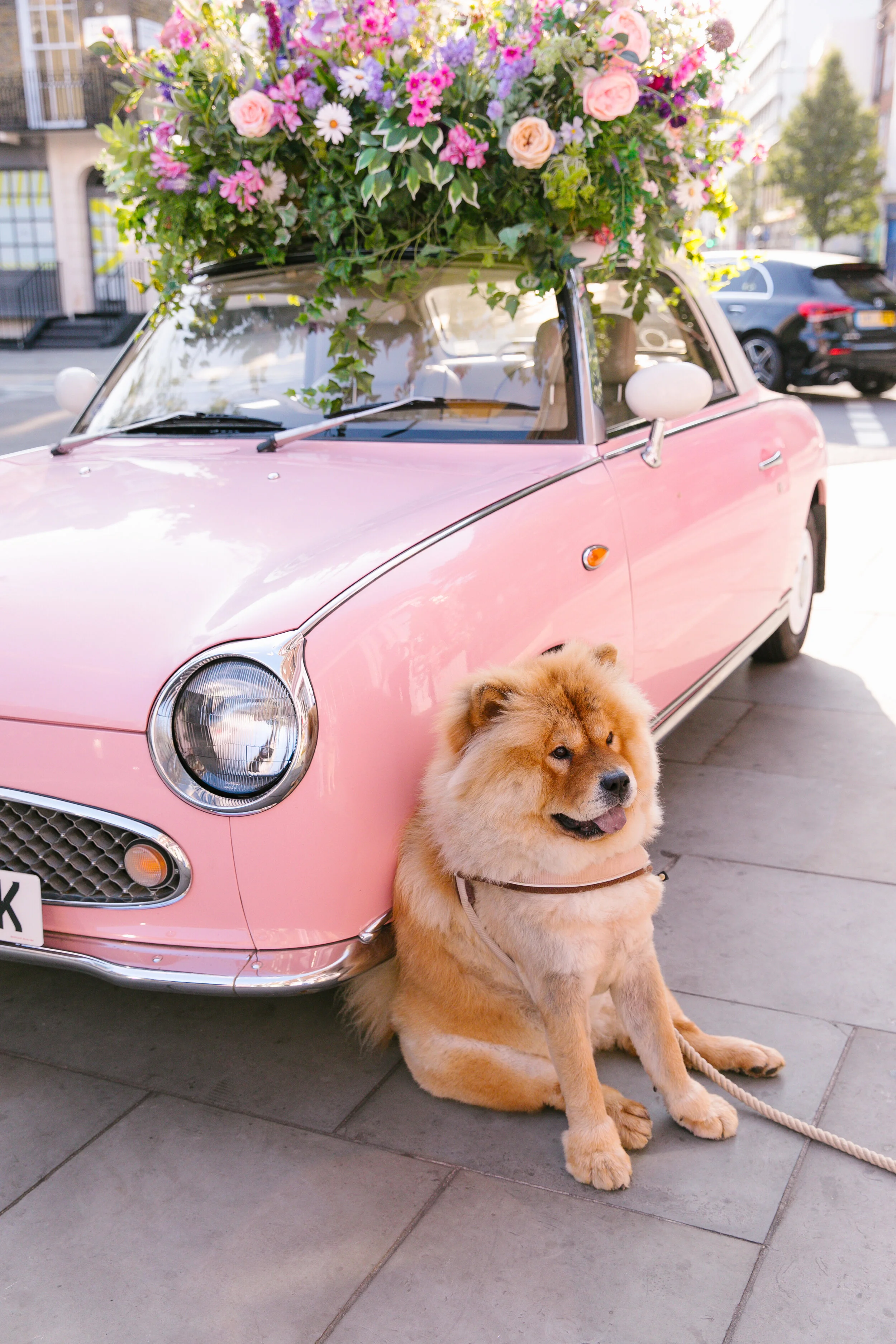 Gulshan London The Pink Car