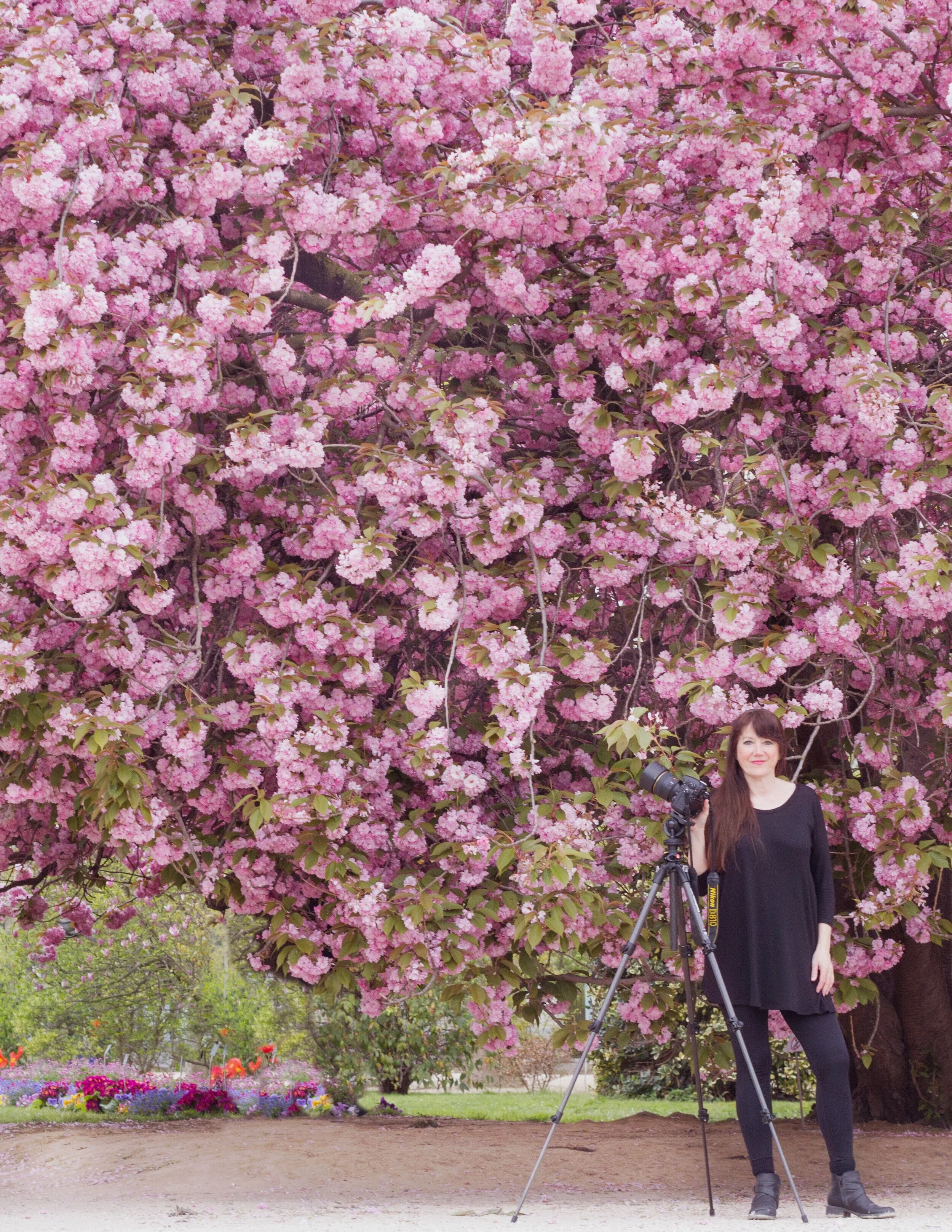 Georgianna Lane: Capturing the Romance of Flowers