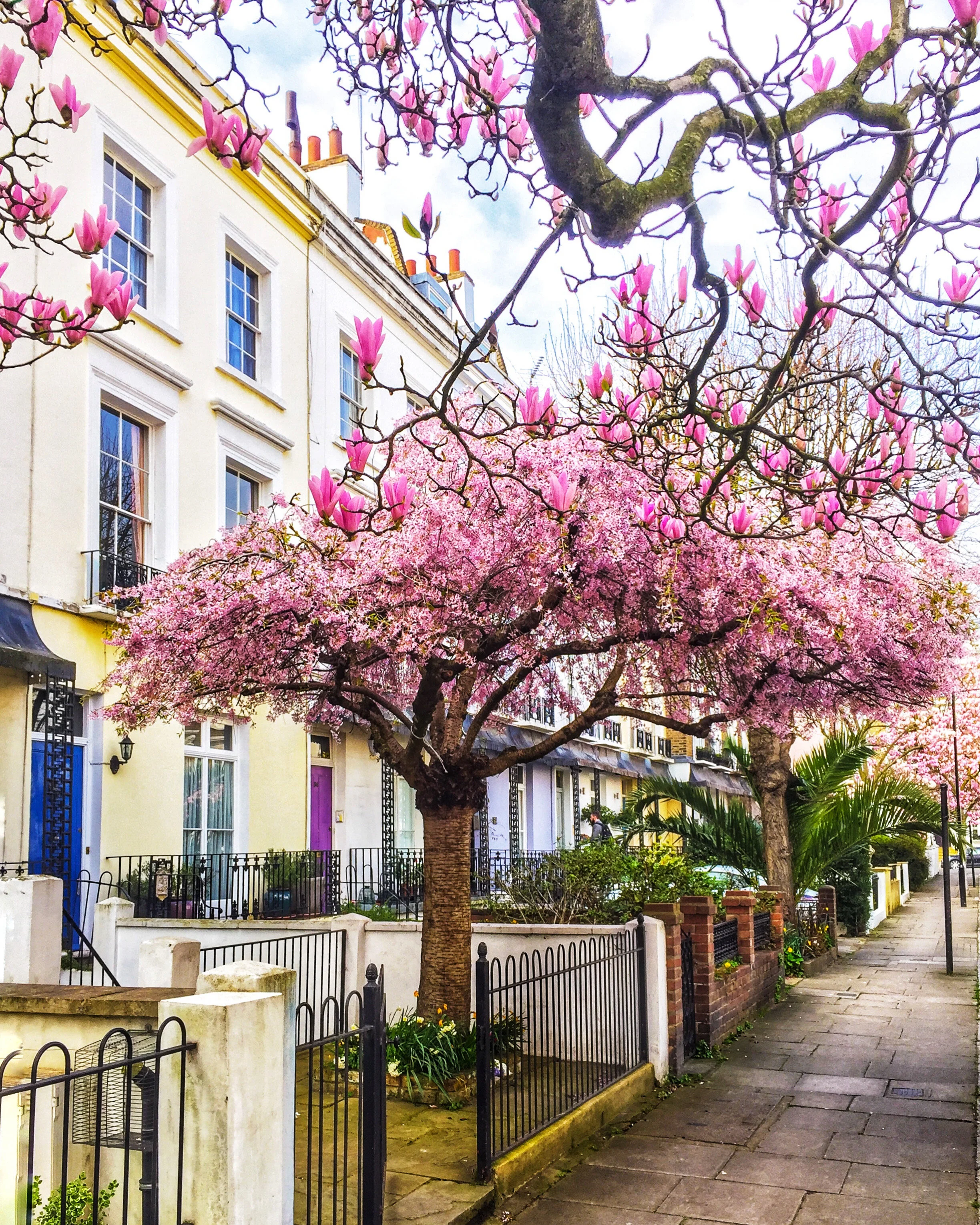 Spectacular Spring in London