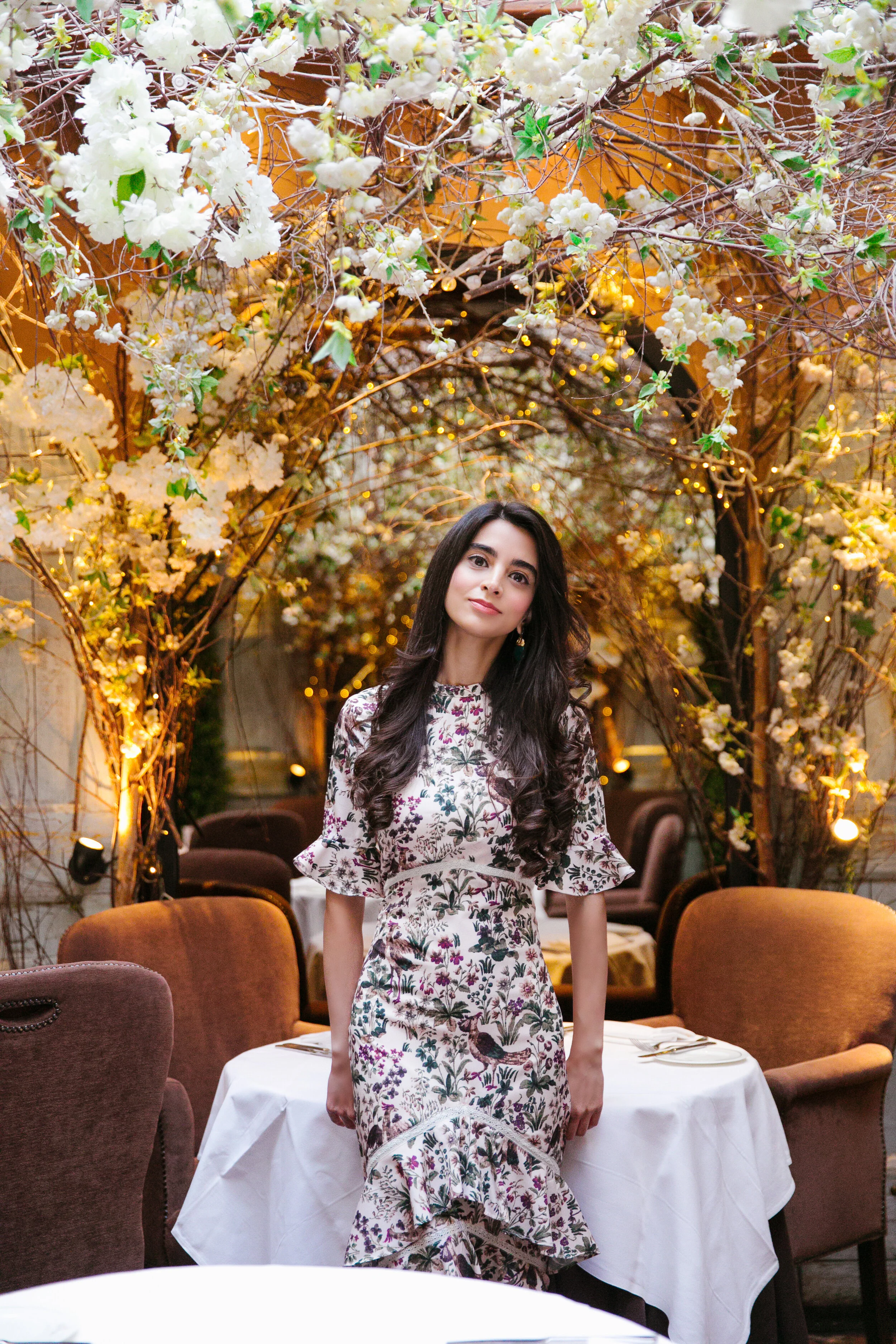 Clos Maggiore, a Canopy of Cherry Blossoms