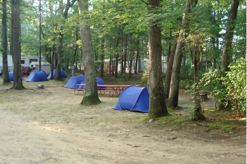 the-pines-camping-area-salisbury-ma-1.jpg