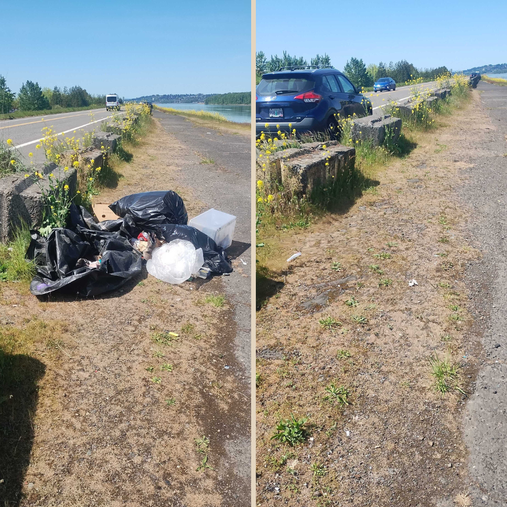 Untitled design(6).png