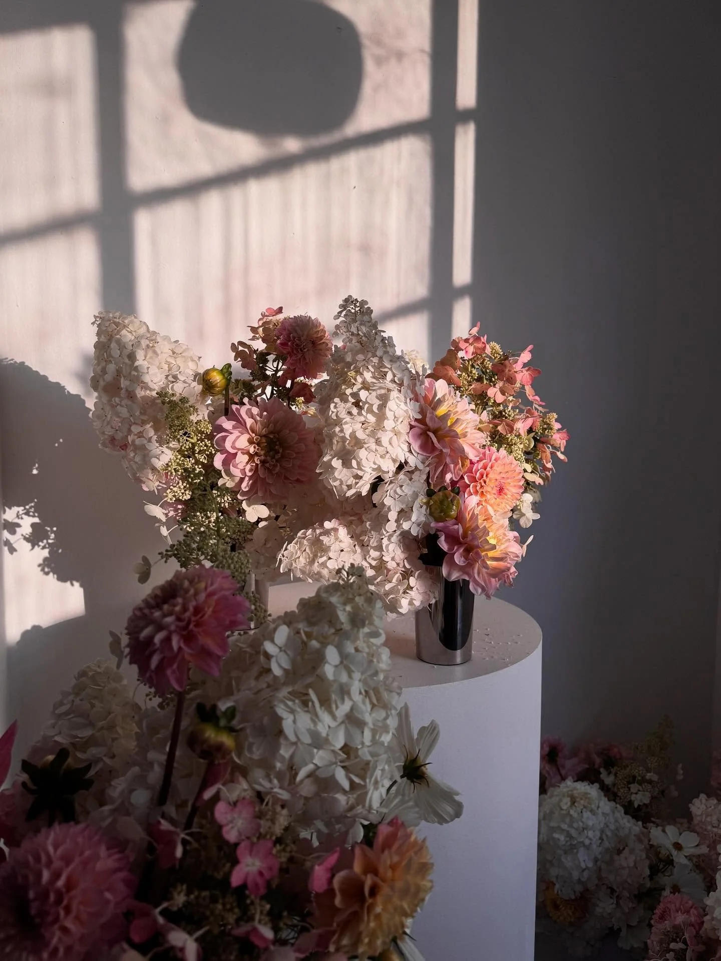 English hydrangea szn