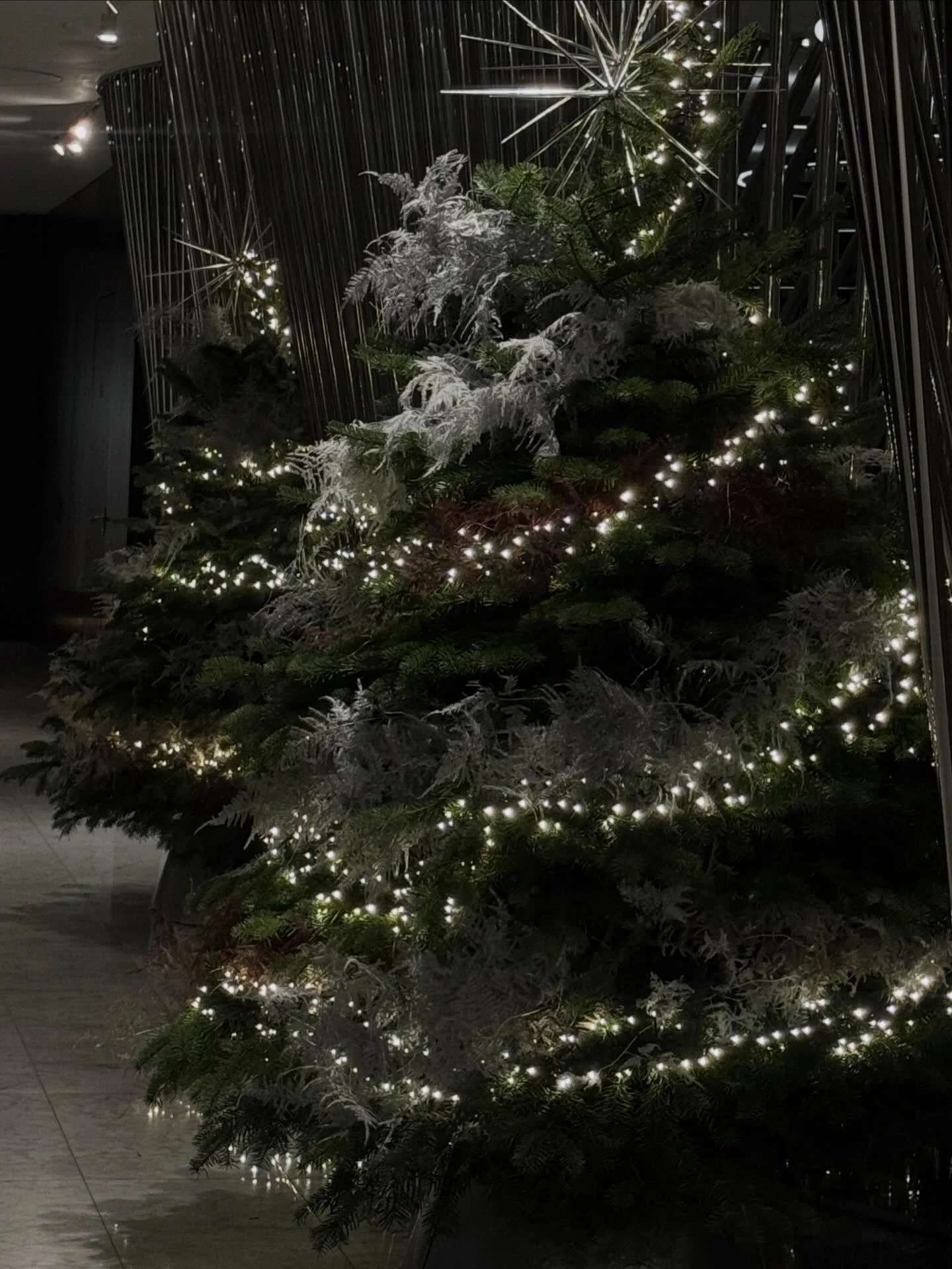 One last Hurrah for our celestial install at @melondonhotel this Christmastime 

Thank you again and goodnight 2025 🌙 🪽