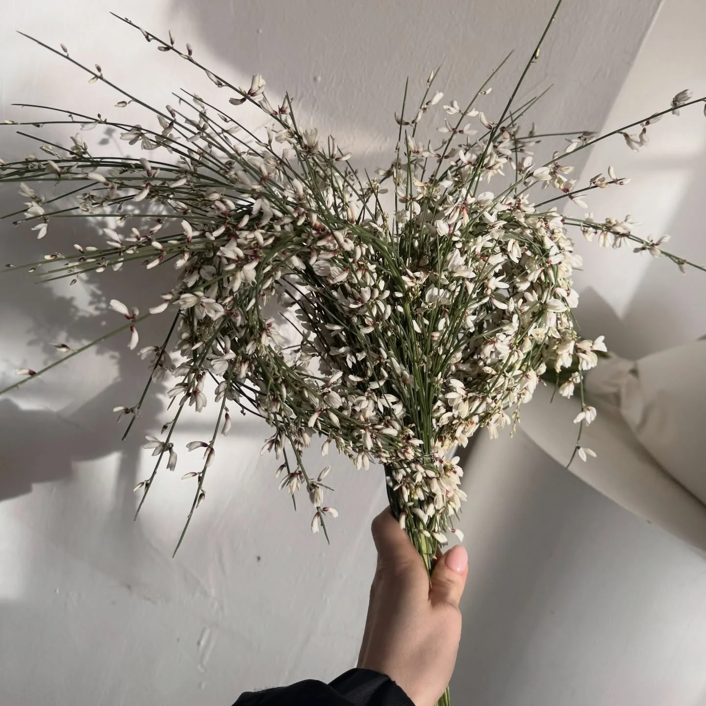 Valentines offerings for London delivery, now available for preorder on the webshop 💌

Limited amounts of each design available