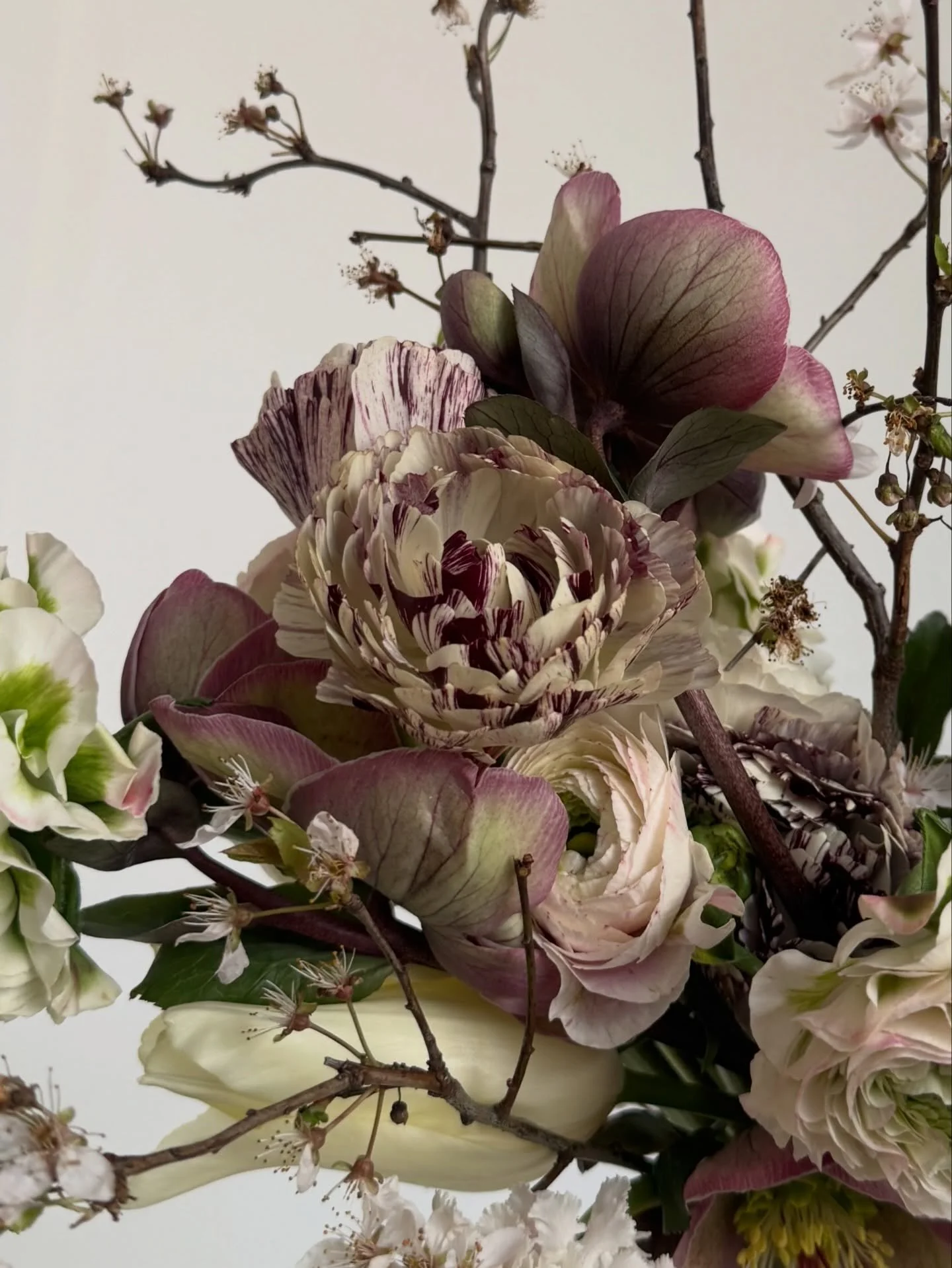 Very mauve-driven at the moment