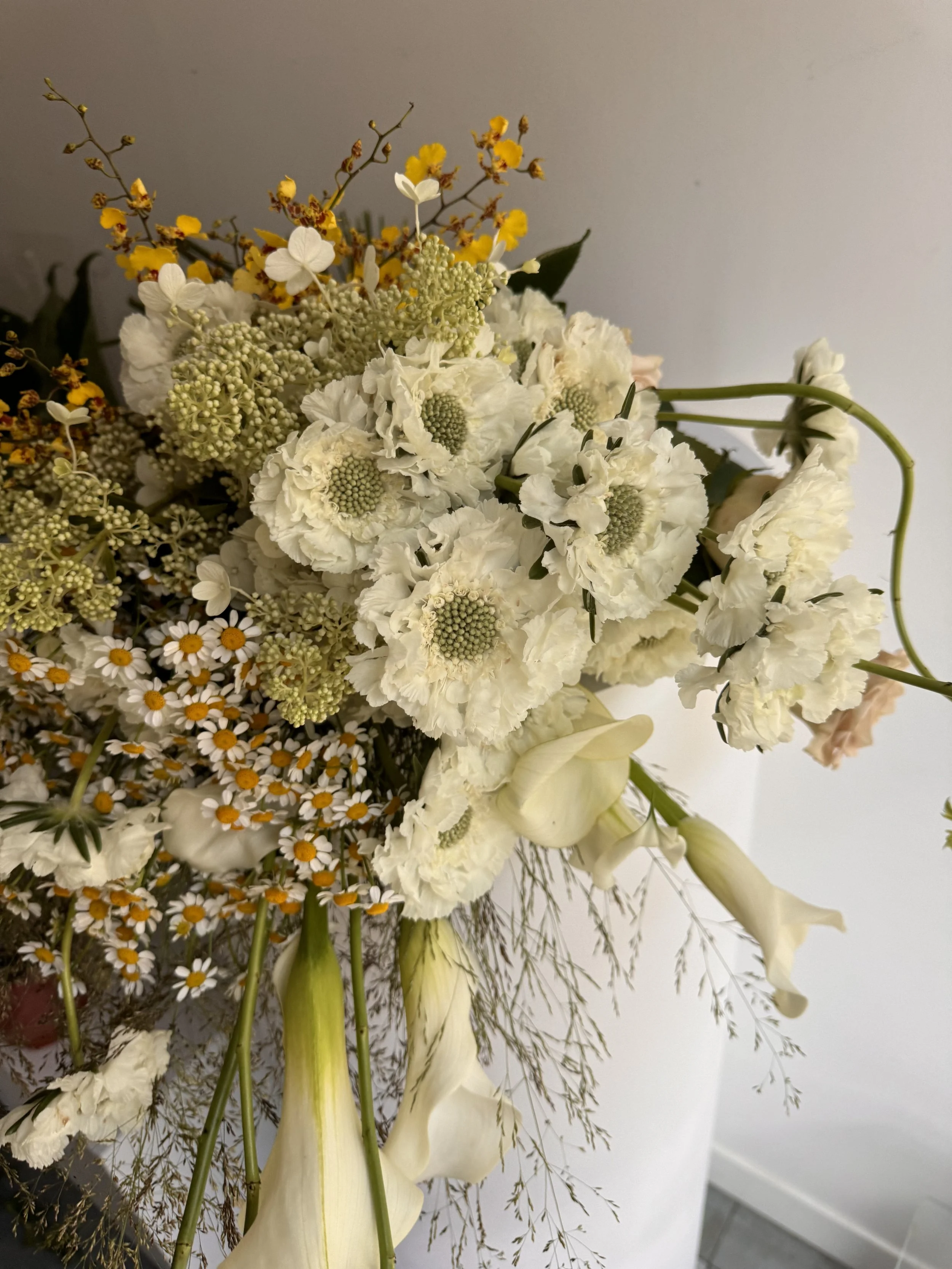 White & Neutral 03.jpg