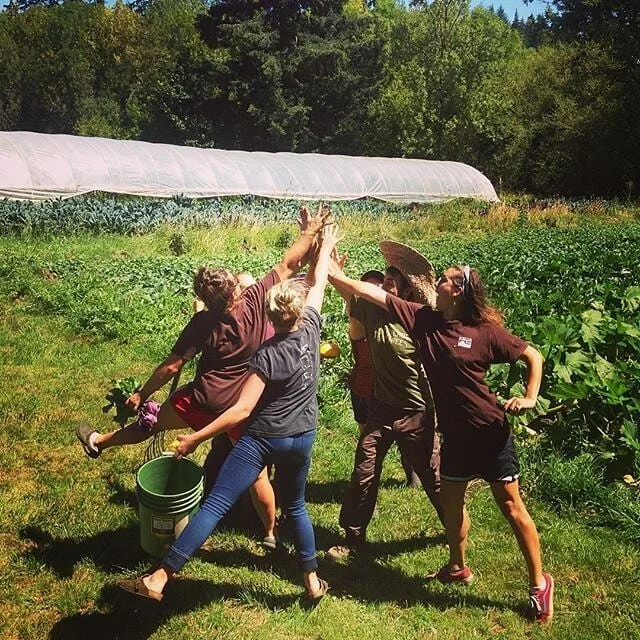 Quackenbush Farm photo 7