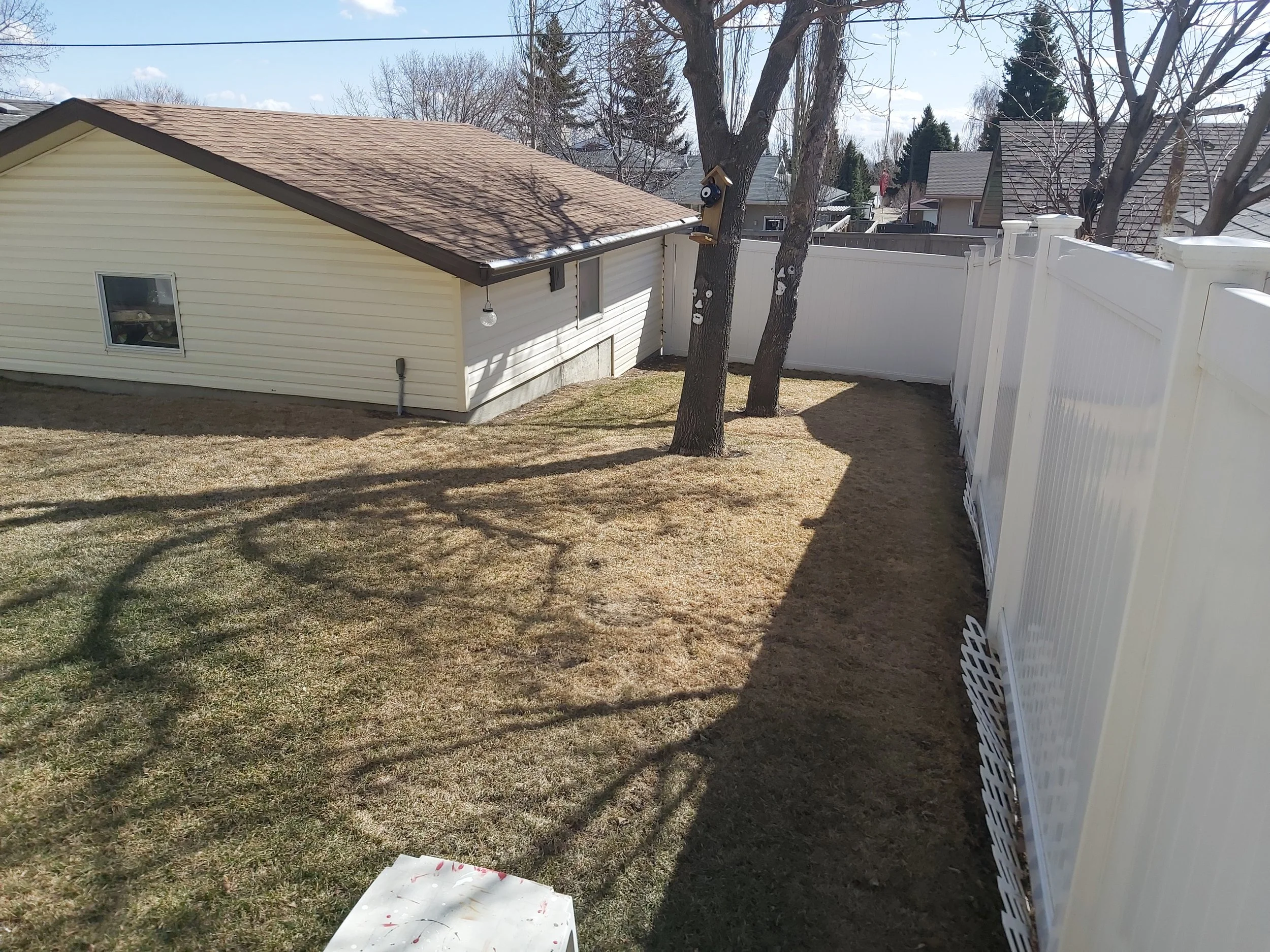 Backyard with a small beige house, two trees, a lattice, and a white privacy fence under a partly cloudy sky.