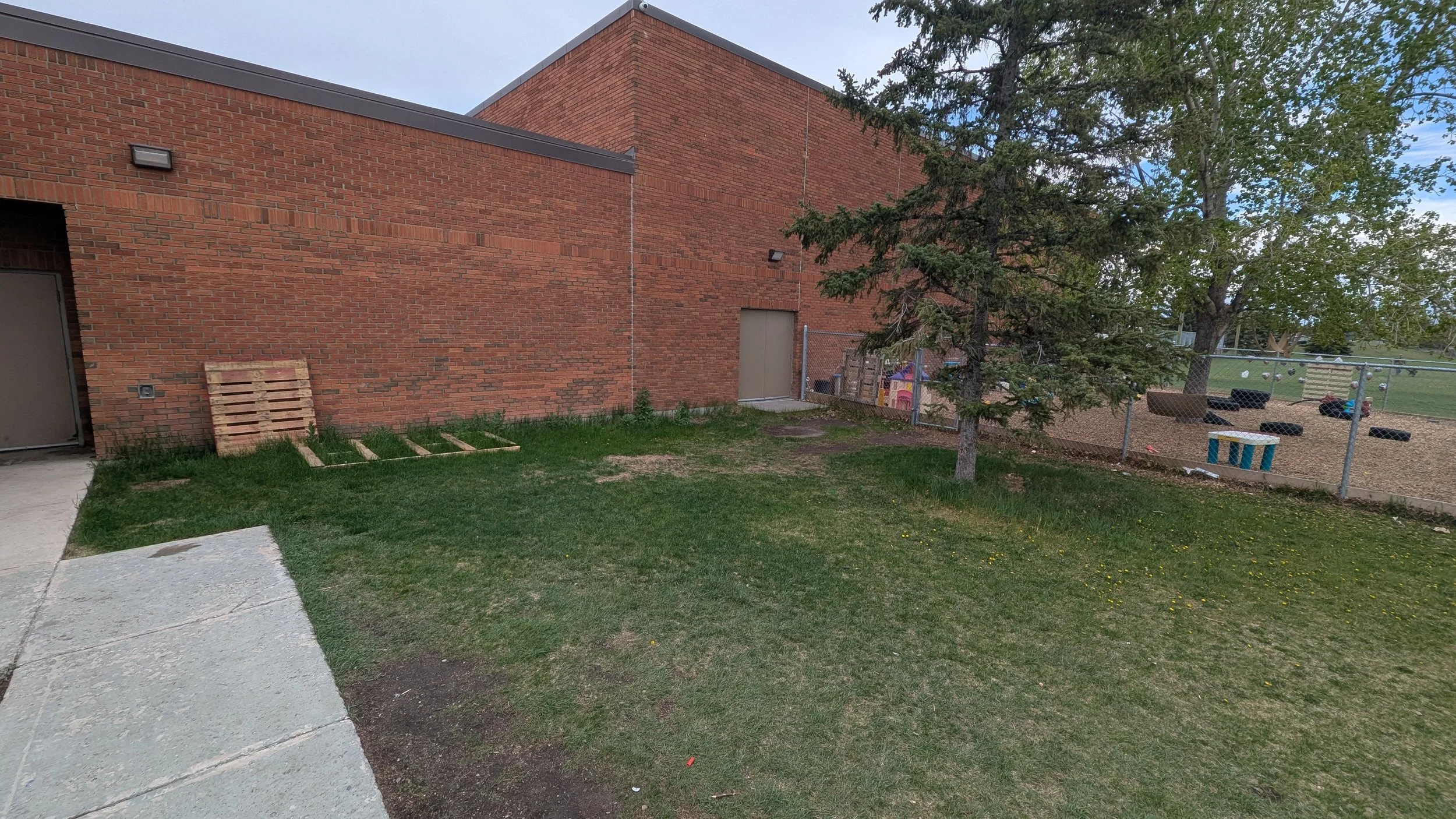 A grassy backyard area with a brick building on the left, a chain-link fence in the background, and a playground with tires and a small colorful playhouse. A tall tree is near the fence.