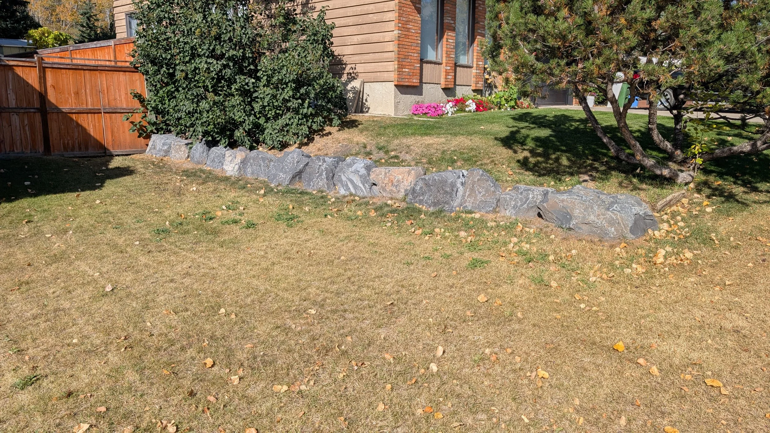 A yard with a brown grass lawn, scattered fallen leaves, a decorative rock border, bushes, a tree, and a house with wooden and brick exterior in the background.