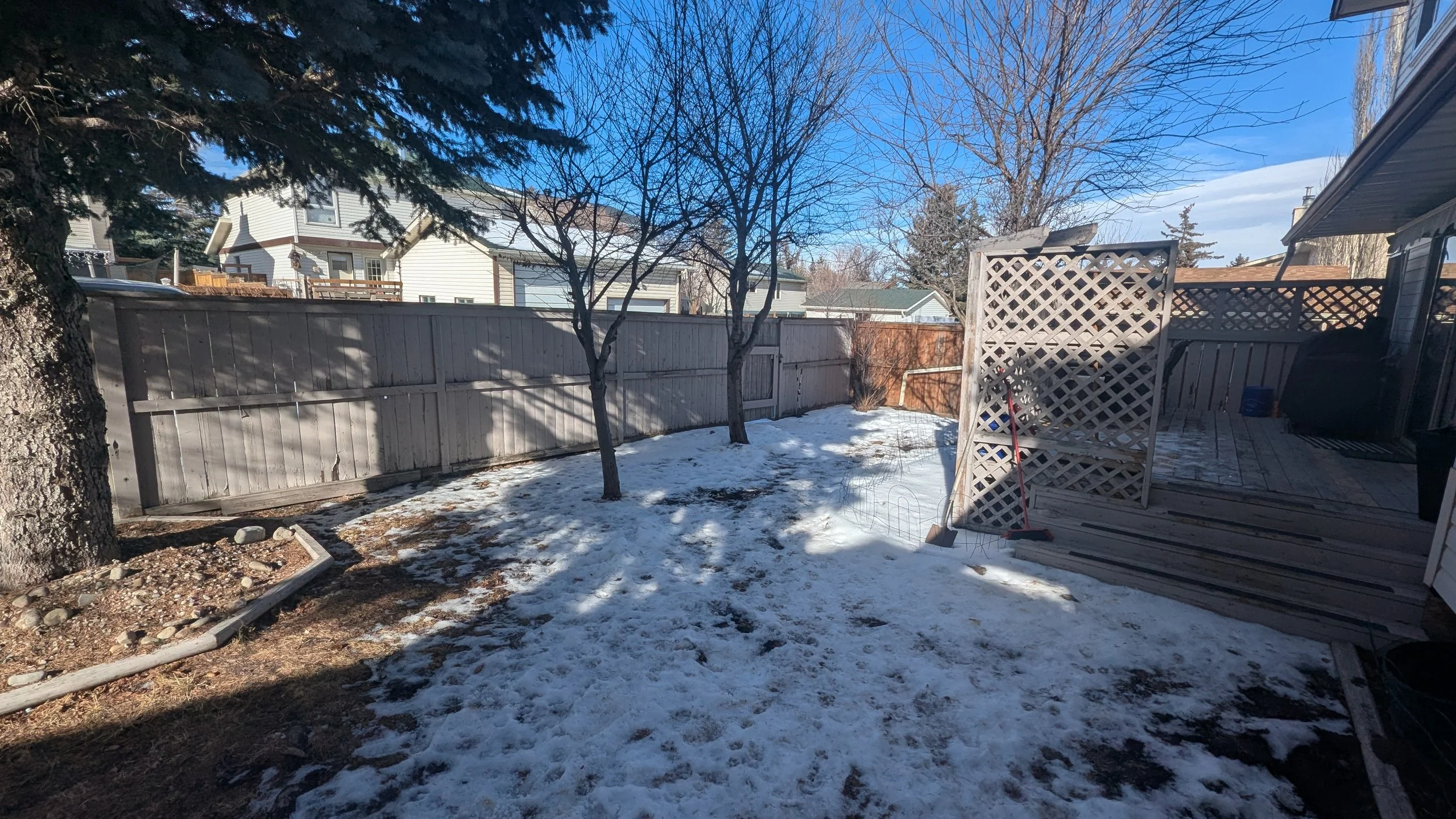 Backyard with snow patches, three leafless trees, a wooden deck with a lattice privacy screen, a broom, and a large evergreen tree on the left. Residential houses and a blue sky are in the background.