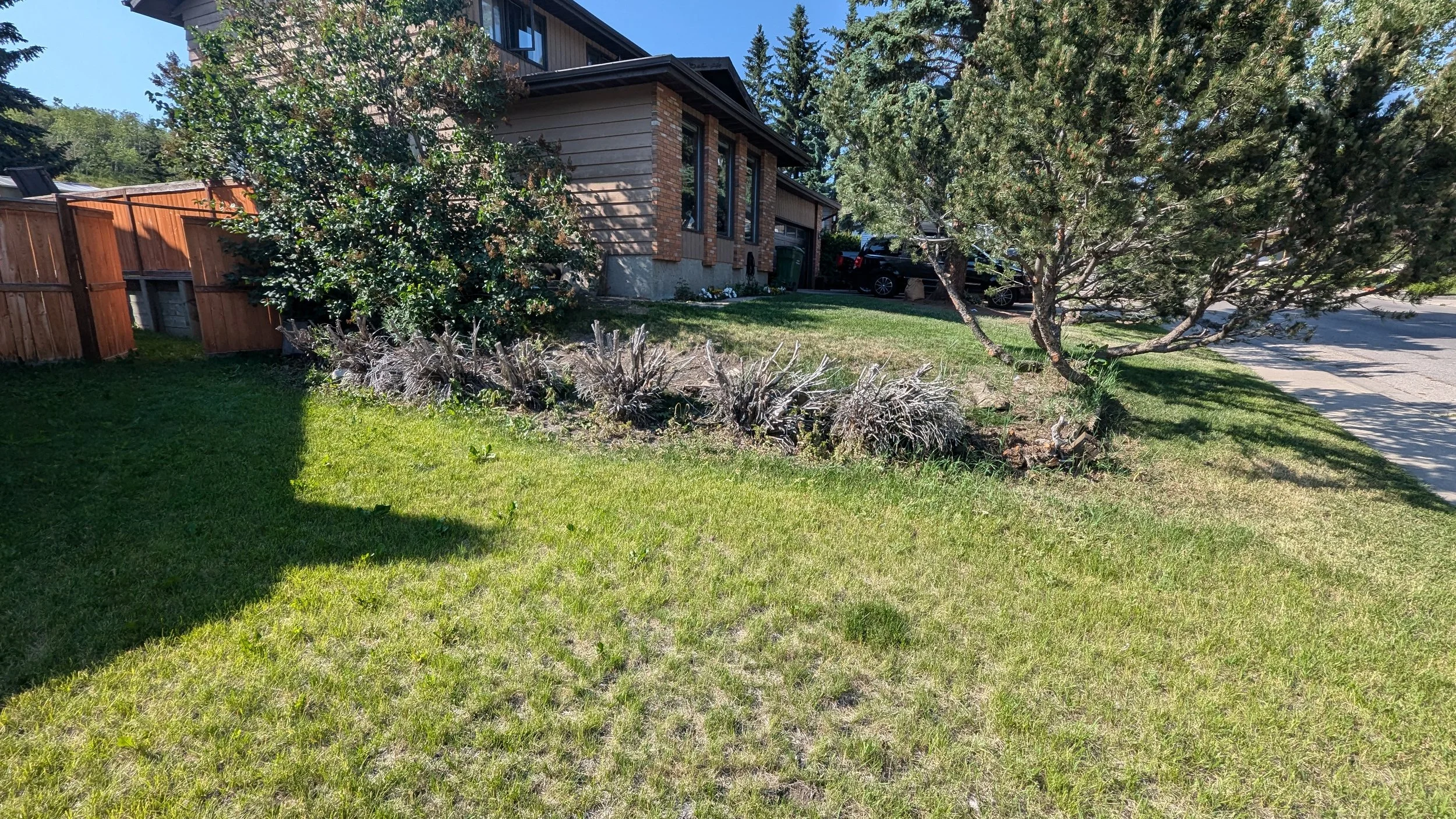 Front yard with green grass, bushes, and trees in front of a house with a brick and wood exterior, surrounded by a wooden fence, with parked cars visible in the driveway.