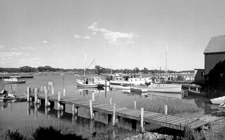 Stirling Harbor image 1.png