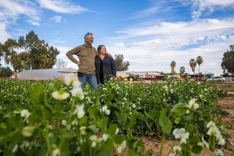 Local First Arizona Introduces Good Food Film Series: 12 Original, Independent Short Films Spotlighting the State of Arizona’s Local Food Economy