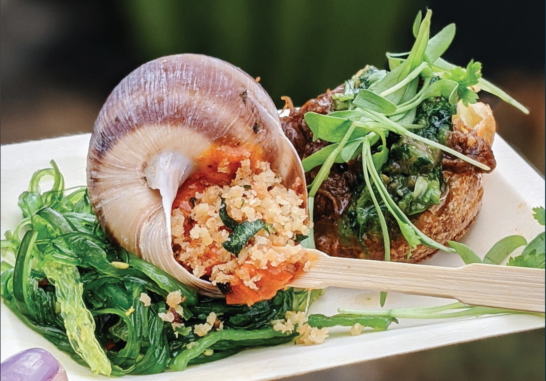 TICKETS GO ON SALE TOMORROW for Devour Culinary Classic