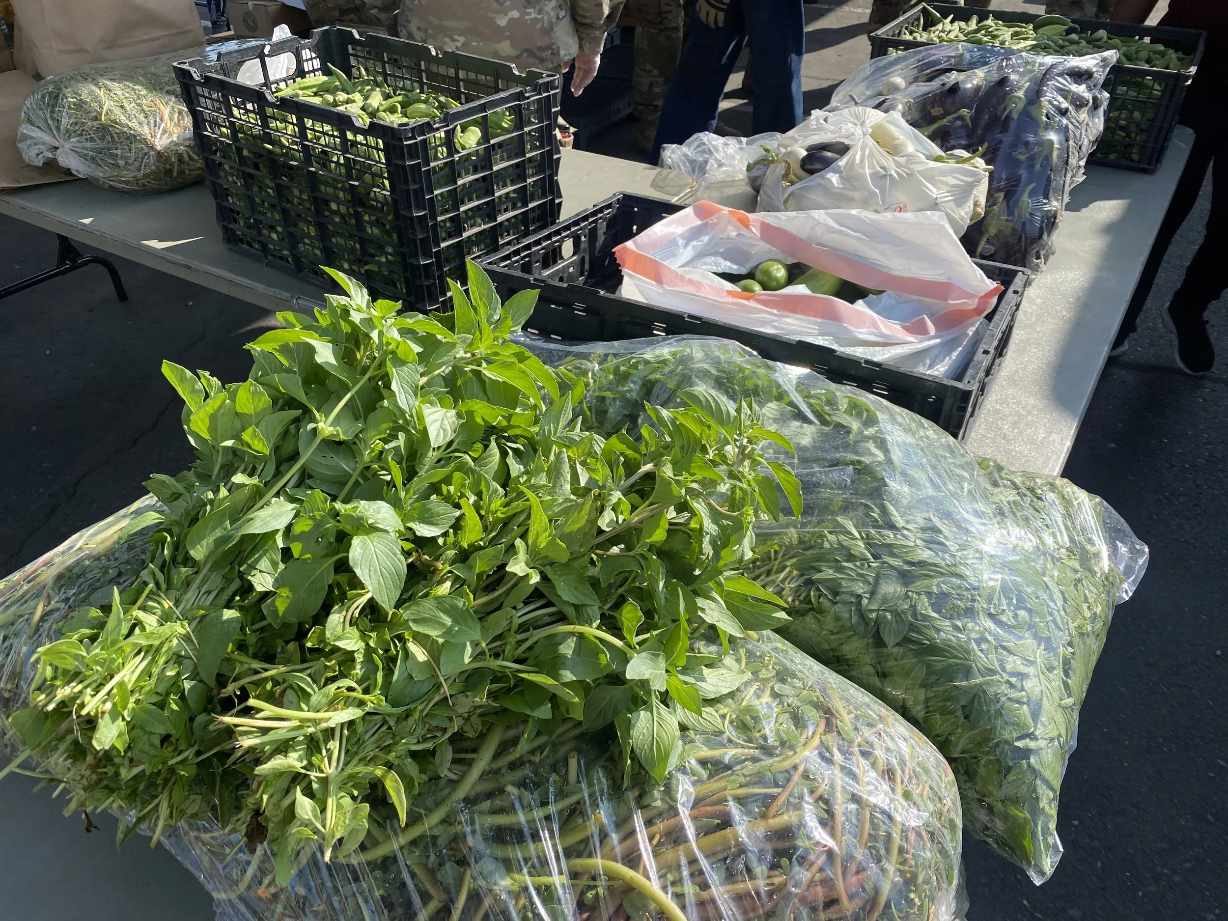 Standing Together Through Arizona’s SNAP Crisis