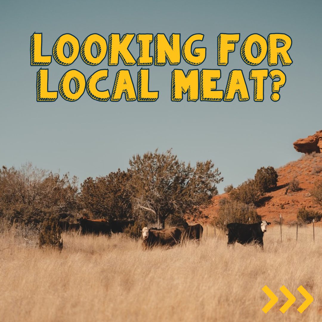 What is Good Meat and Where to Find It?