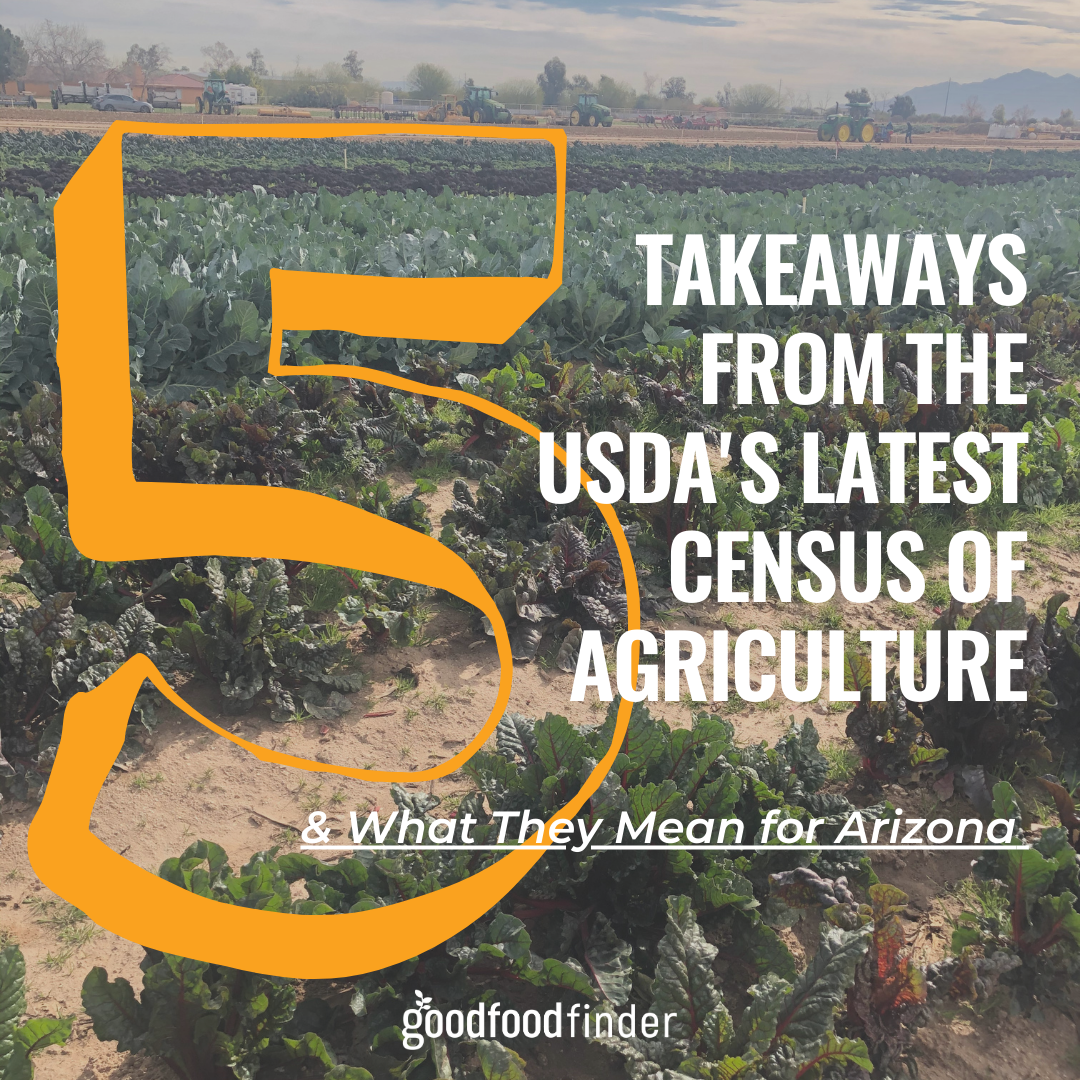5 Takeaways from the USDA's Recent Census of Agriculture … and What They Mean for Arizona 