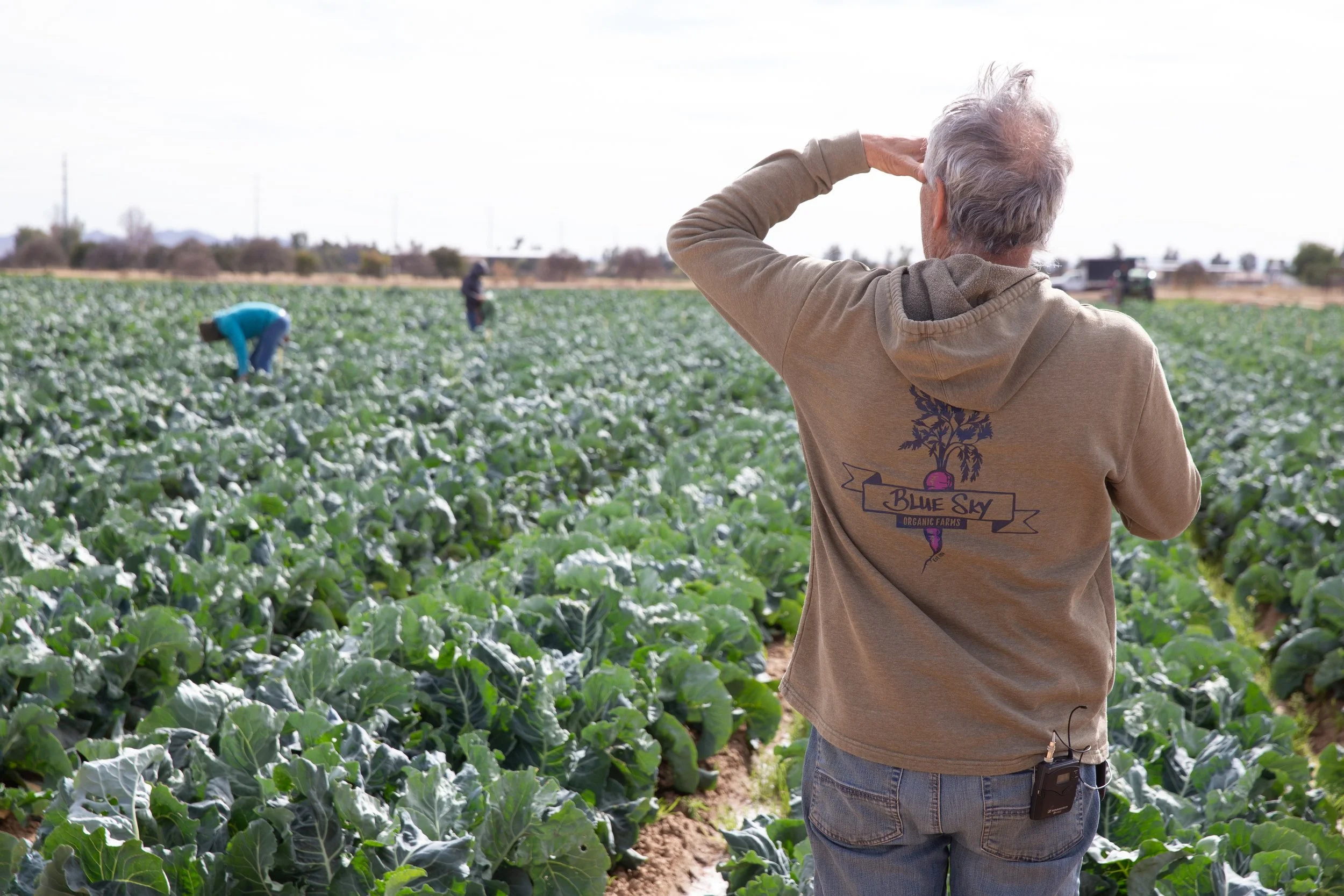 Looking Ahead: 2024 and The Future of Food &amp; Farming in Arizona 