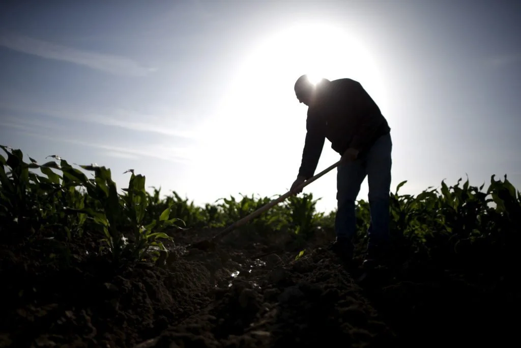 Protecting the Health &amp; Rights of Arizona Farmworkers During Extreme Heat