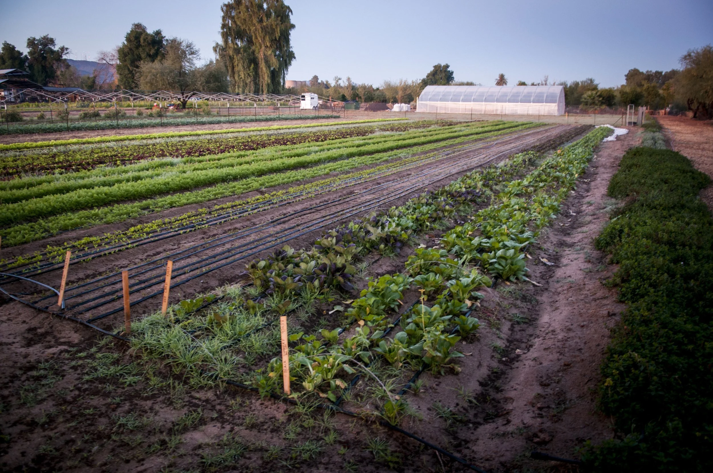 How to Fund Your Farm