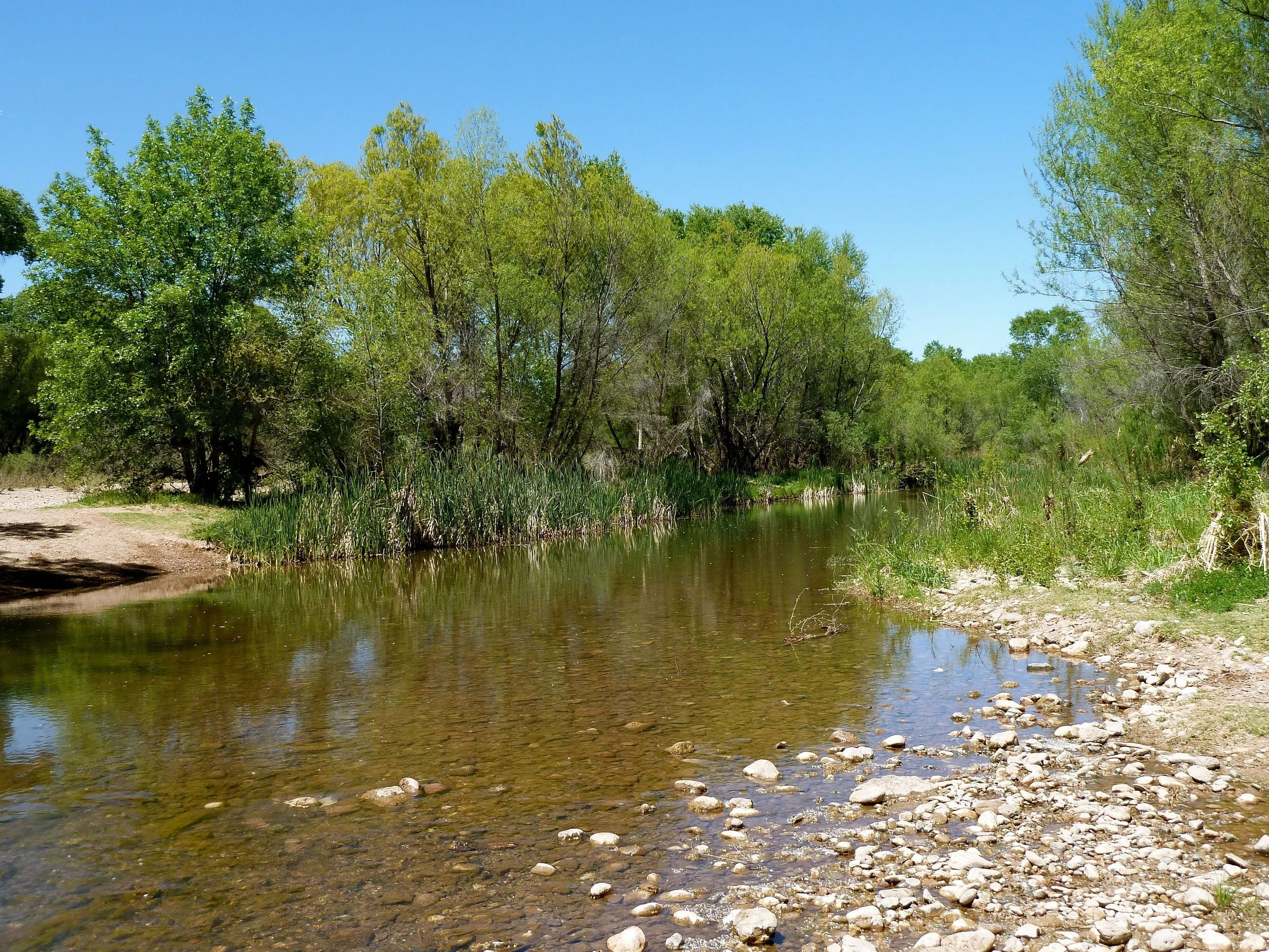 17 Million Gallons: How Verde Valley Businesses Are Turning Water Conservation Into Collective Impact