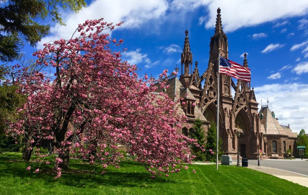 2-Landmarked-Gothic-archway-with-cherry-trees-April-2019-photo-1-by-Lore-Croghan-1-1024x650.jpeg