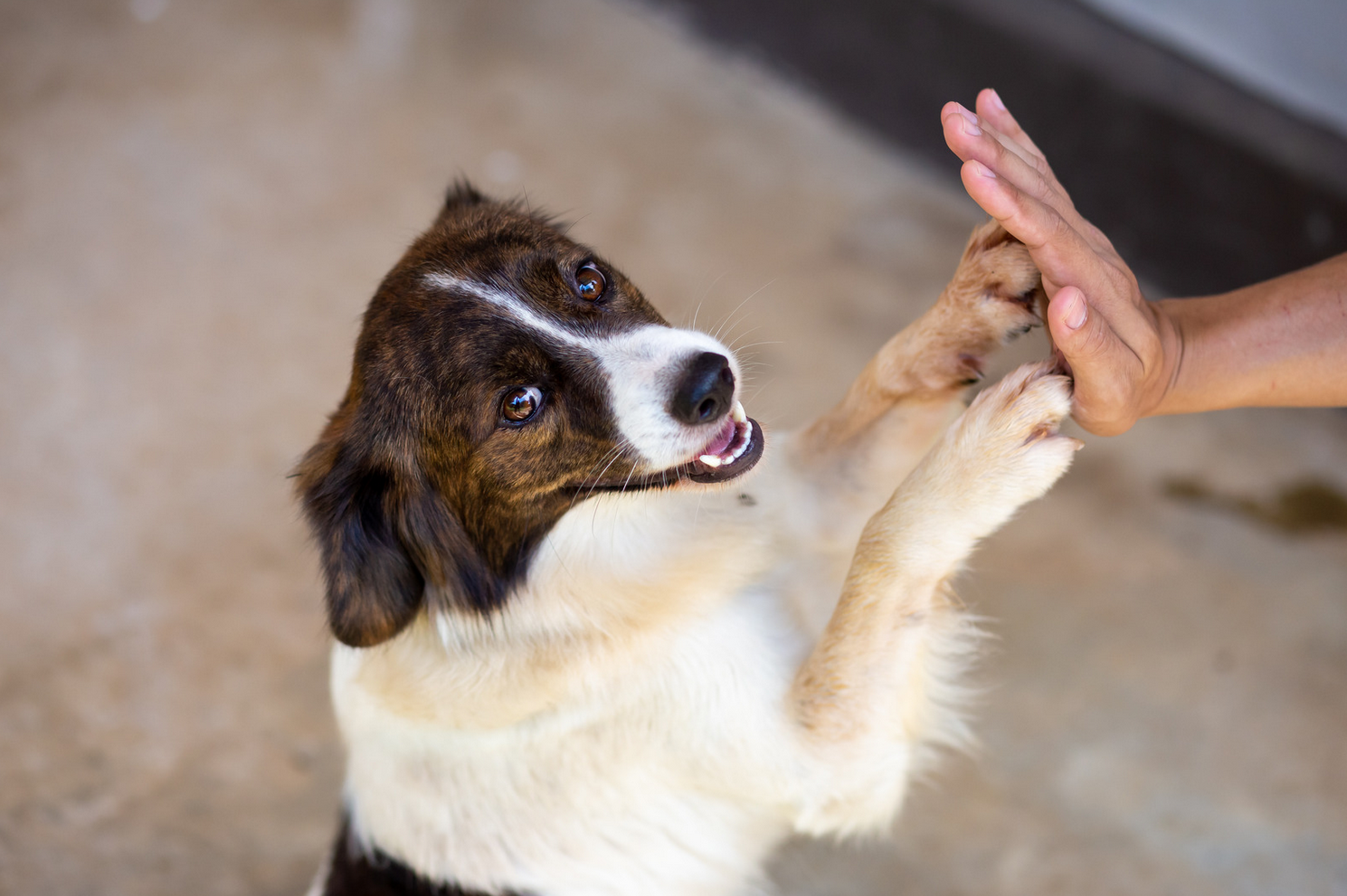 High Five!