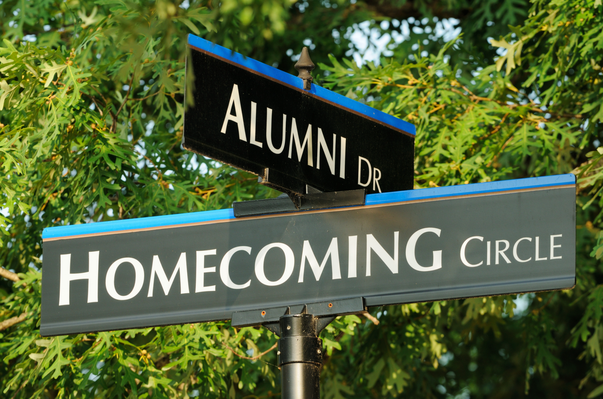 Reflections From Four College Reunions